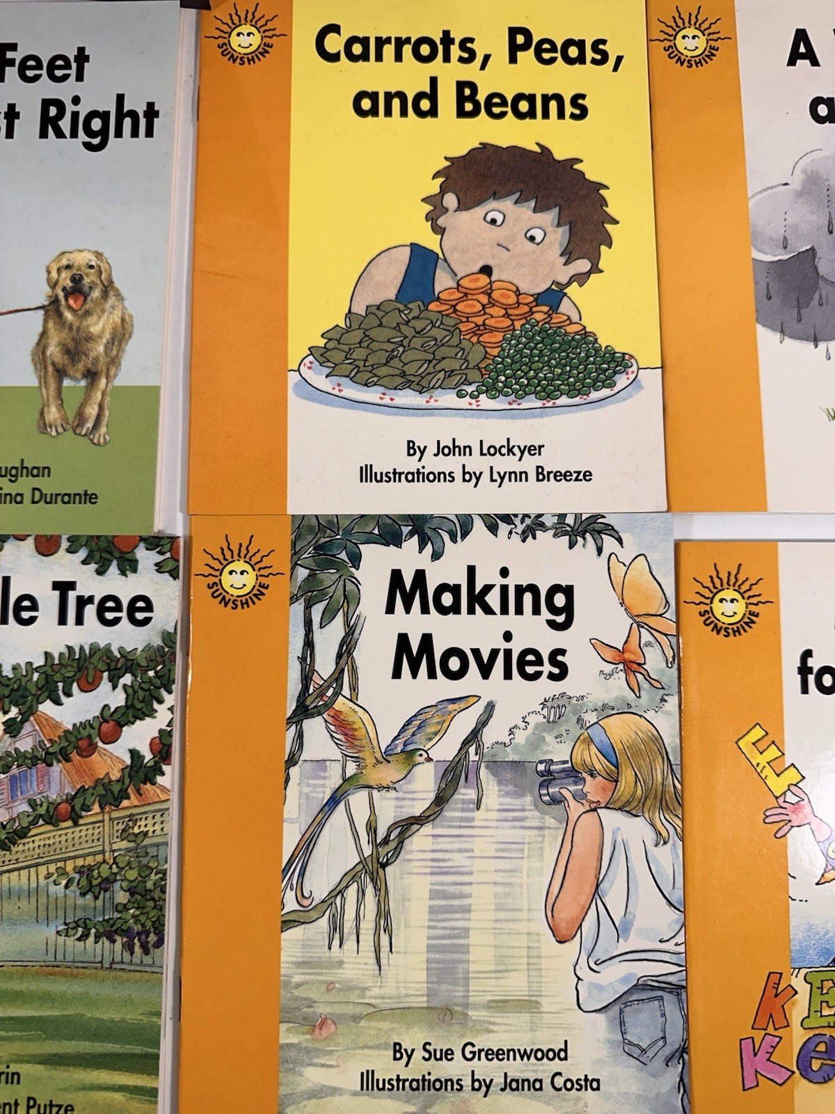 Sunshine Books The Wright Group Lot Of 8 Level 1 Various Sets Softcover