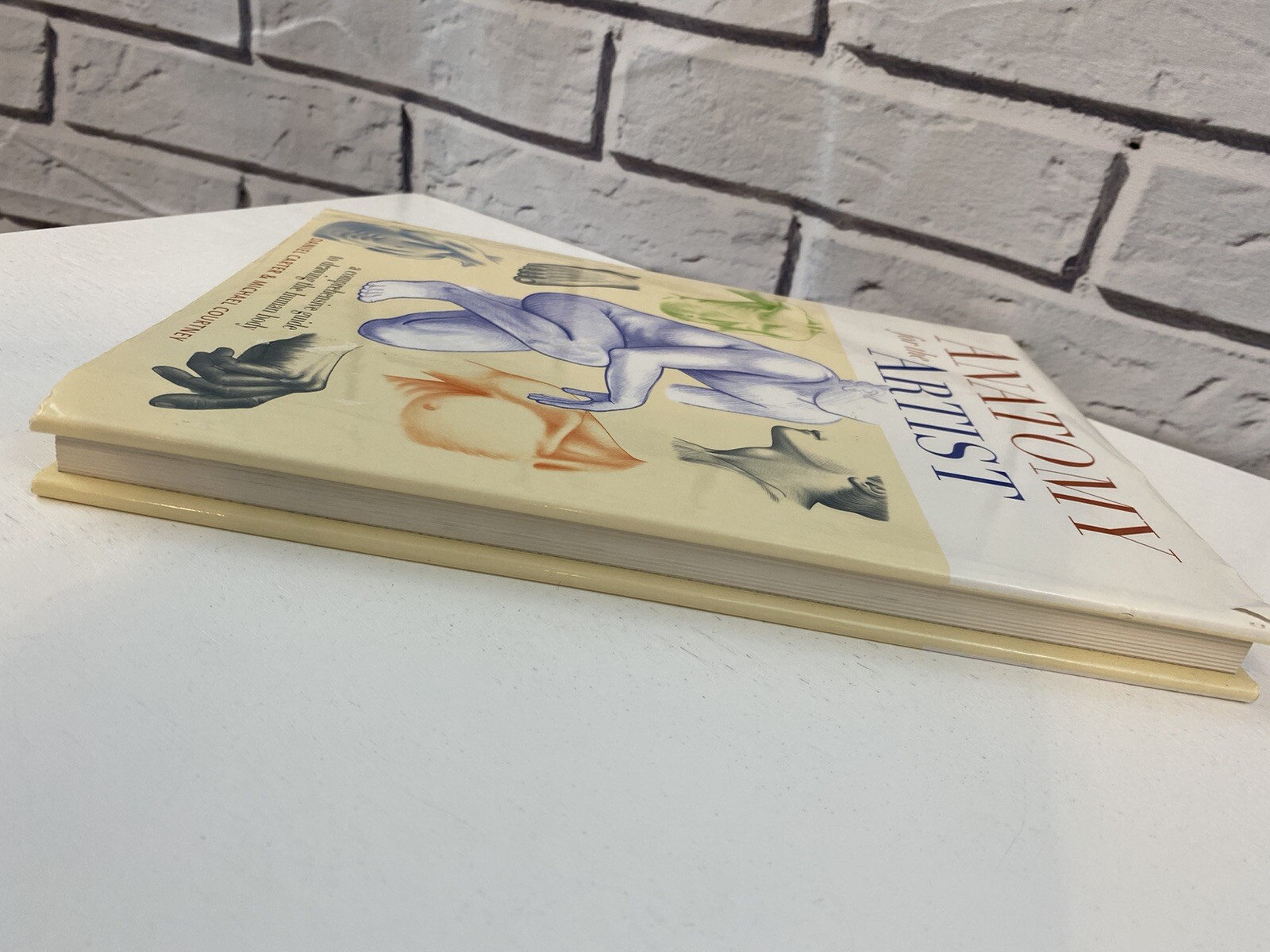 Essential Art Ser.: Anatomy for the Artist (2003, Hardcover)