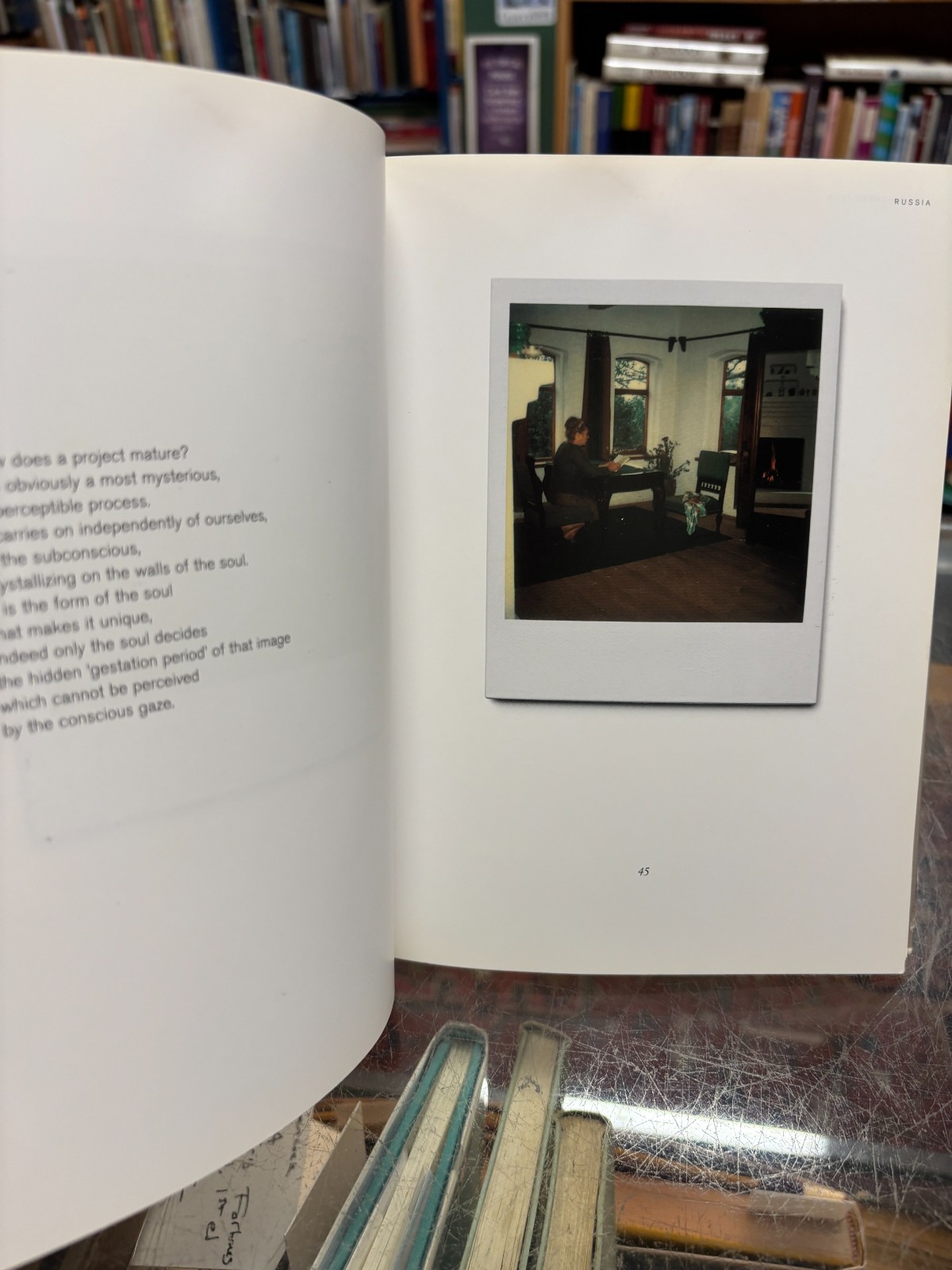 Instant Light Tarkovsky Polaroids photo book 2006. 1st US. Ex-Lib.