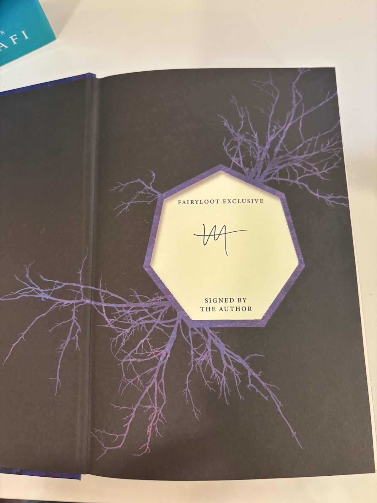 Shatter Me by Tahereh Madi Fairyloot Signed Special Edition