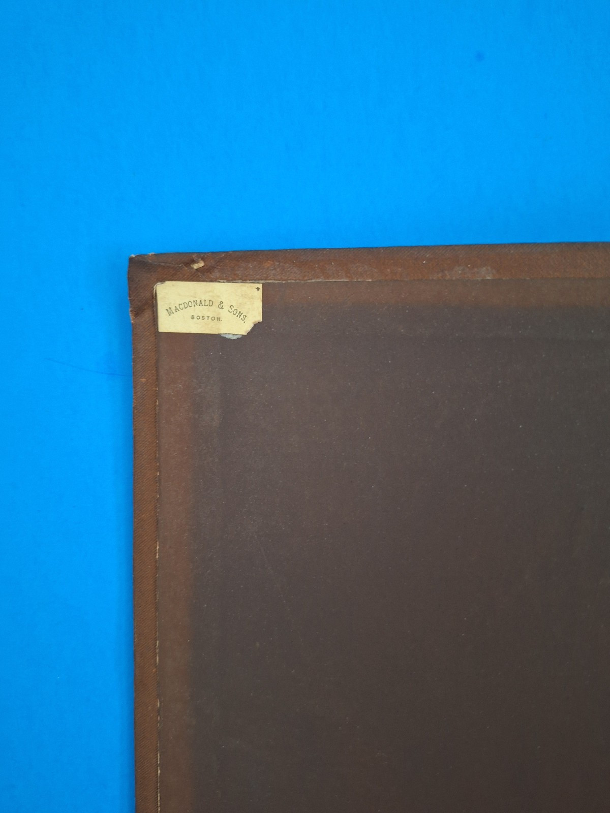 RARE c 1882 THE HORSE IN MOTION by J.D.B. Stillman Photos By Eadweard Muybridge