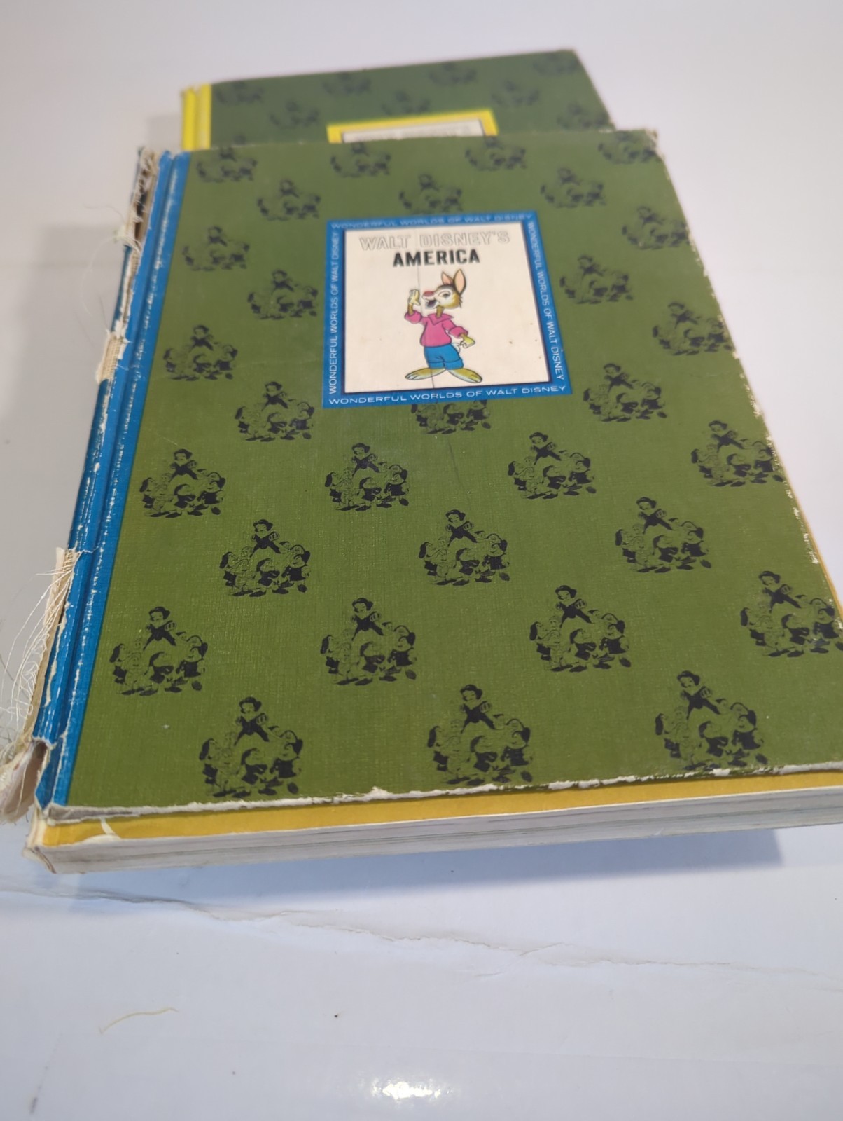 Lot Of 2 1965 Vintage The Wonderful Worlds of Walt Disney Golden Press