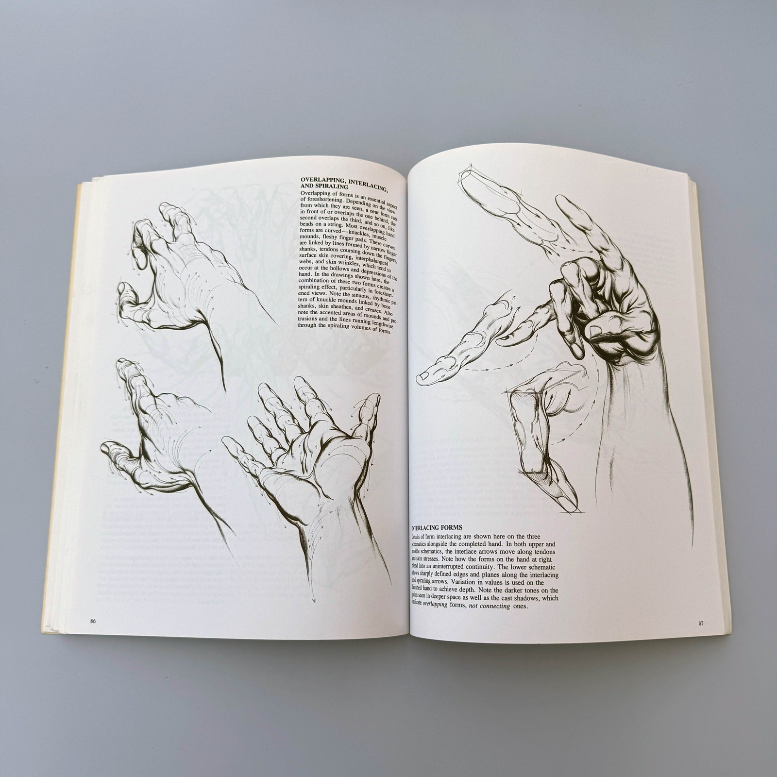 Drawing Dynamic Hands Burne Hogarth Paperback Book Figure Drawing
