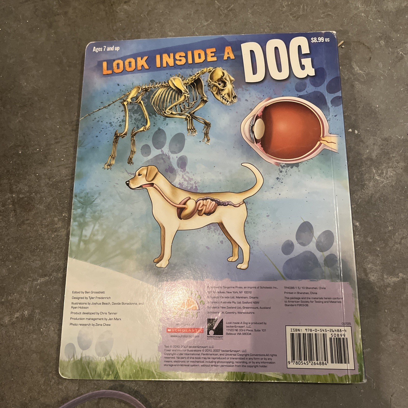 Look Inside a Dog Paul Beck