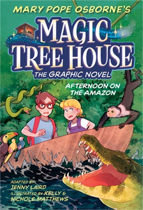 Afternoon on the Amazon Graphic Novel (Hardback or Cased Book)