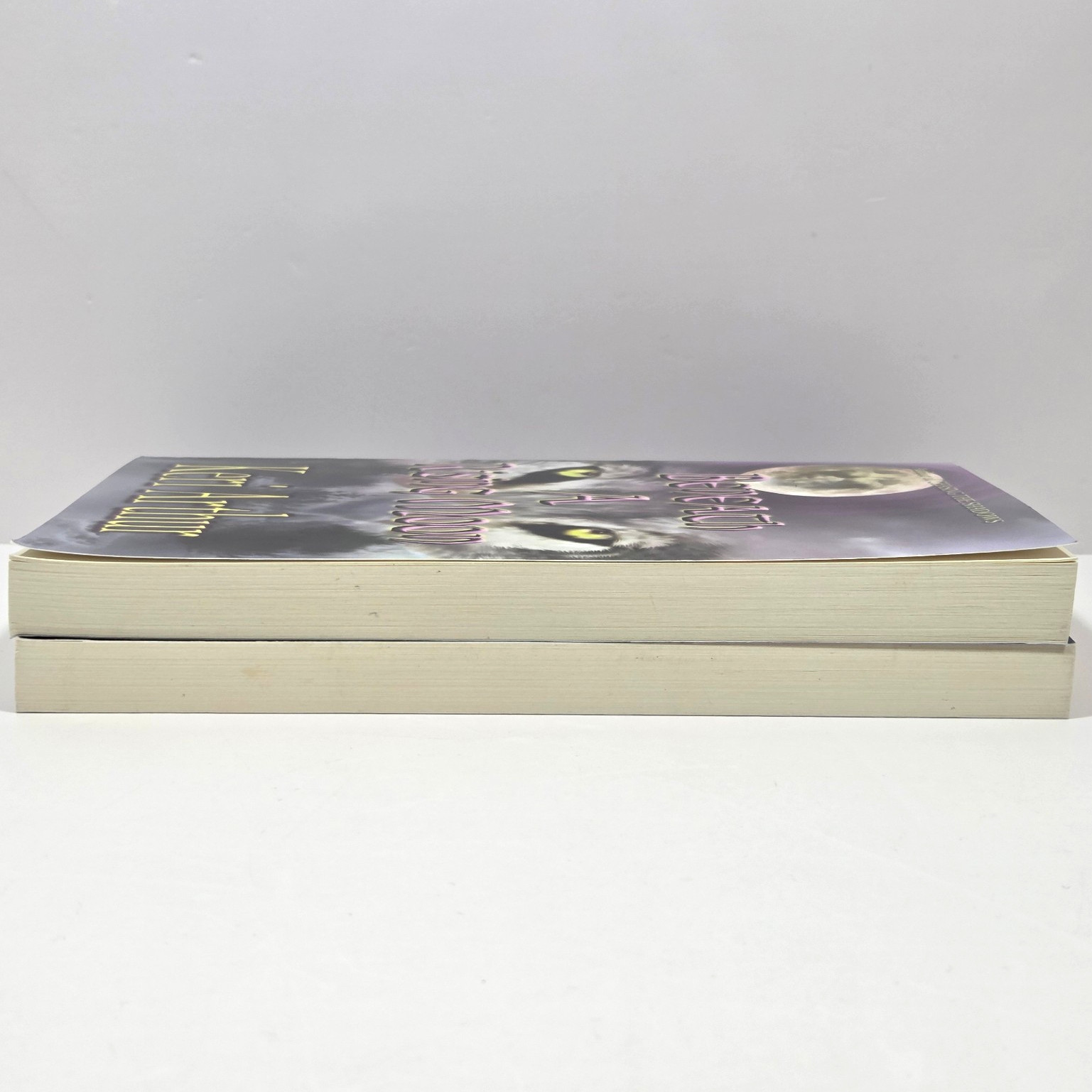Ripple Creek Werewolf Series Keri Arthur Imajinn Trade PB First Ed 1st Print