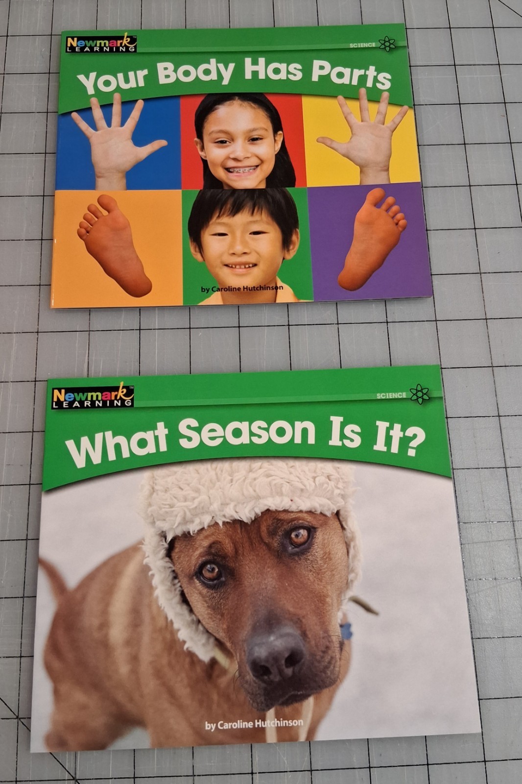 Newmark Learning Set of 12 Paperback by Carolyn Hutchinson Books