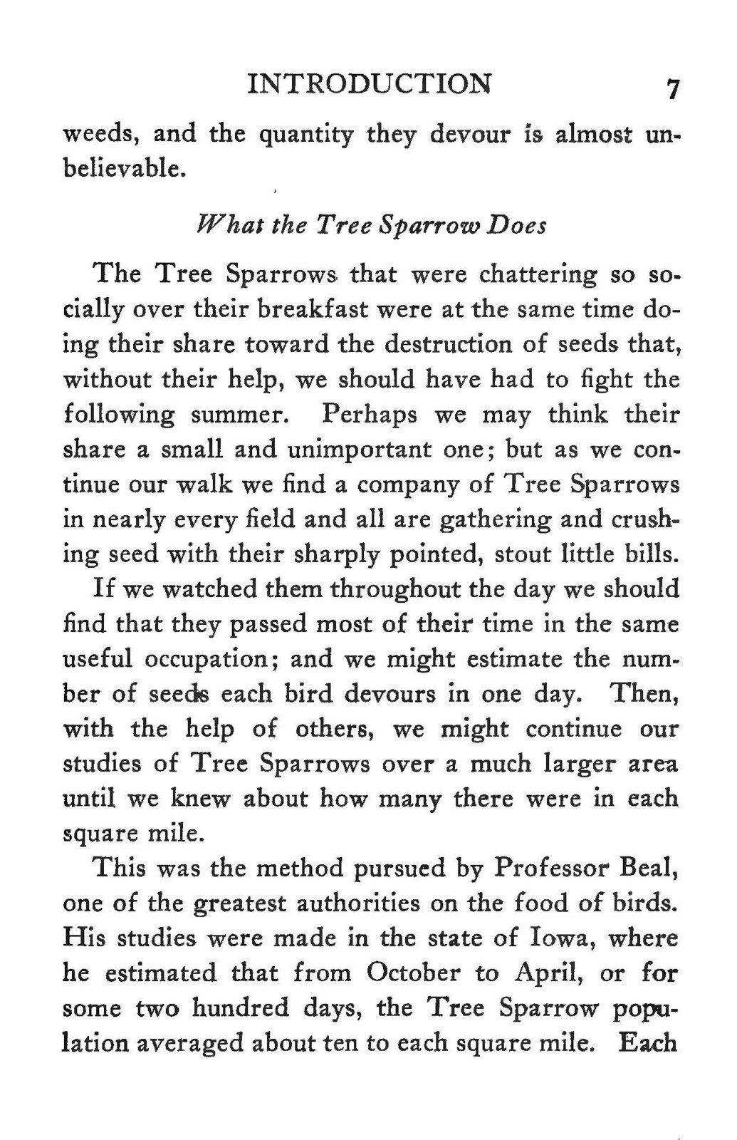 1918 Our Winter Birds How To Know And How To Attract Them 191 Pages