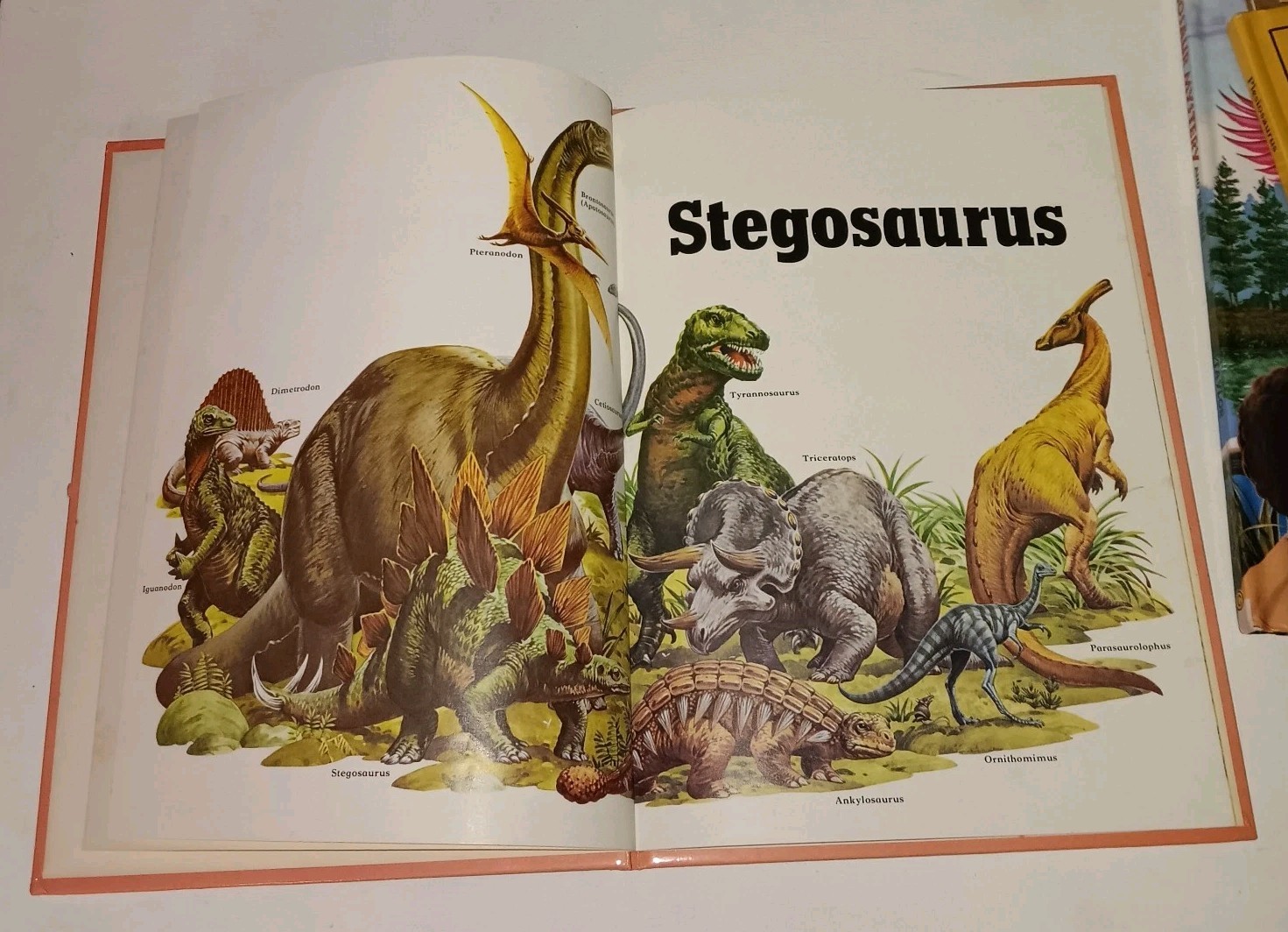 3 Books Dinosaurs Plesiosaurus •The Great Dino Mystery & Bible by Paul S Taylor