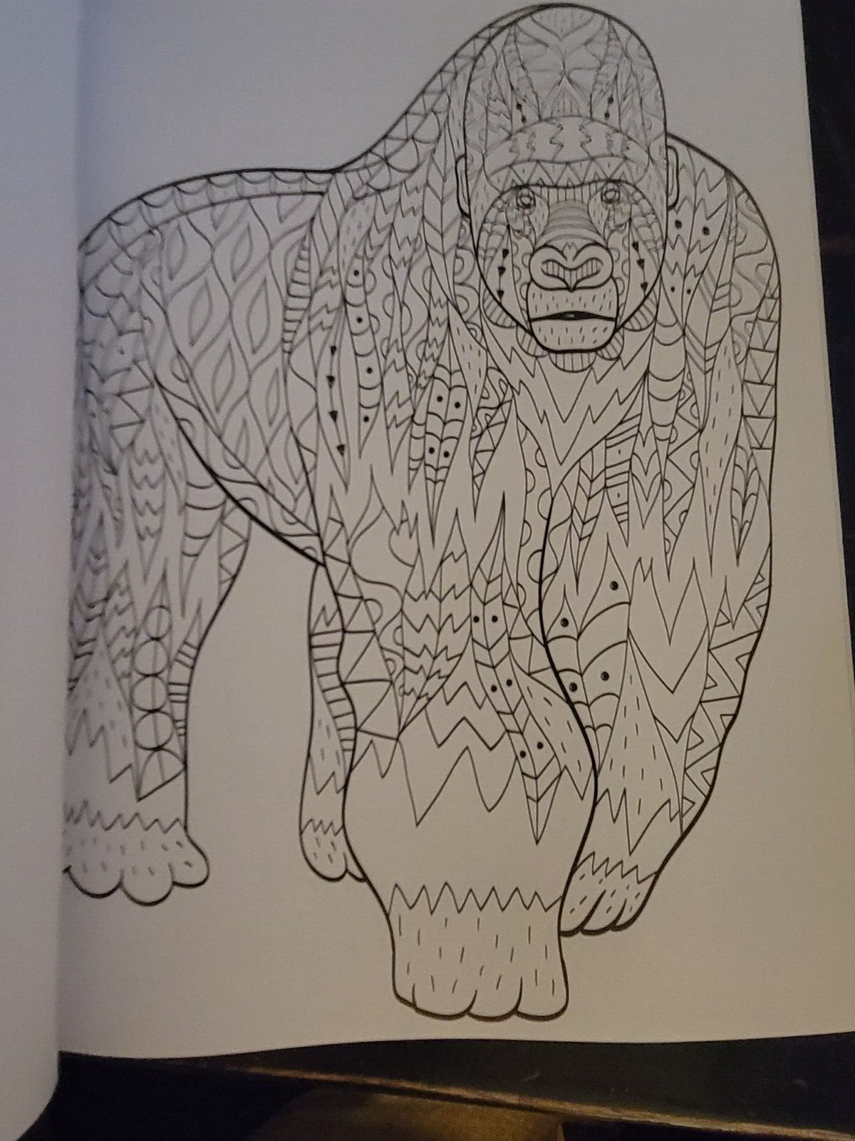 COLORS OF THE WILD Vol. 19 Adult Coloring Book With 47 Prints Ready To Frame!