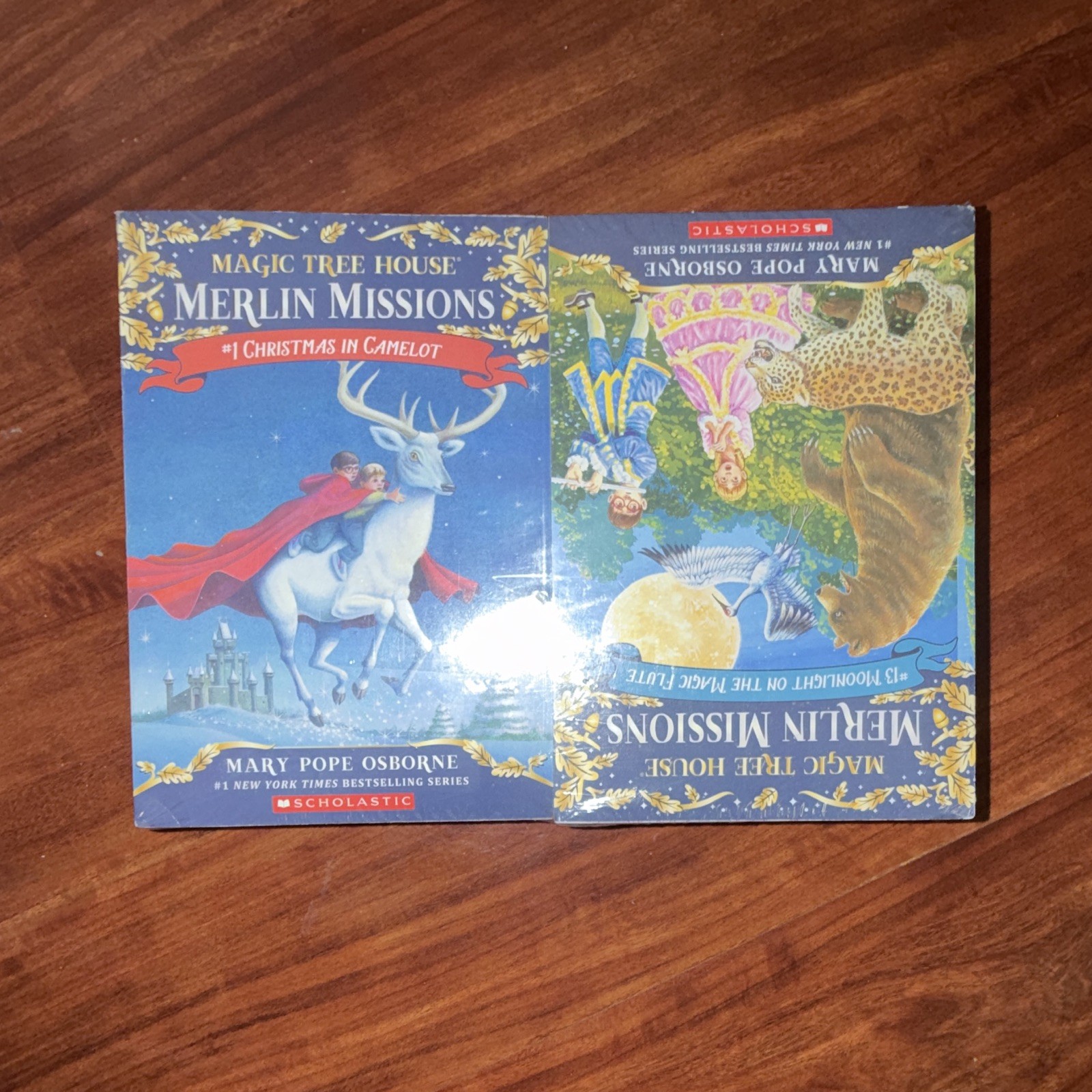 Magic Tree House: Merlin Missions Paperback Lot – Mary Pope Osborne Books 1-24