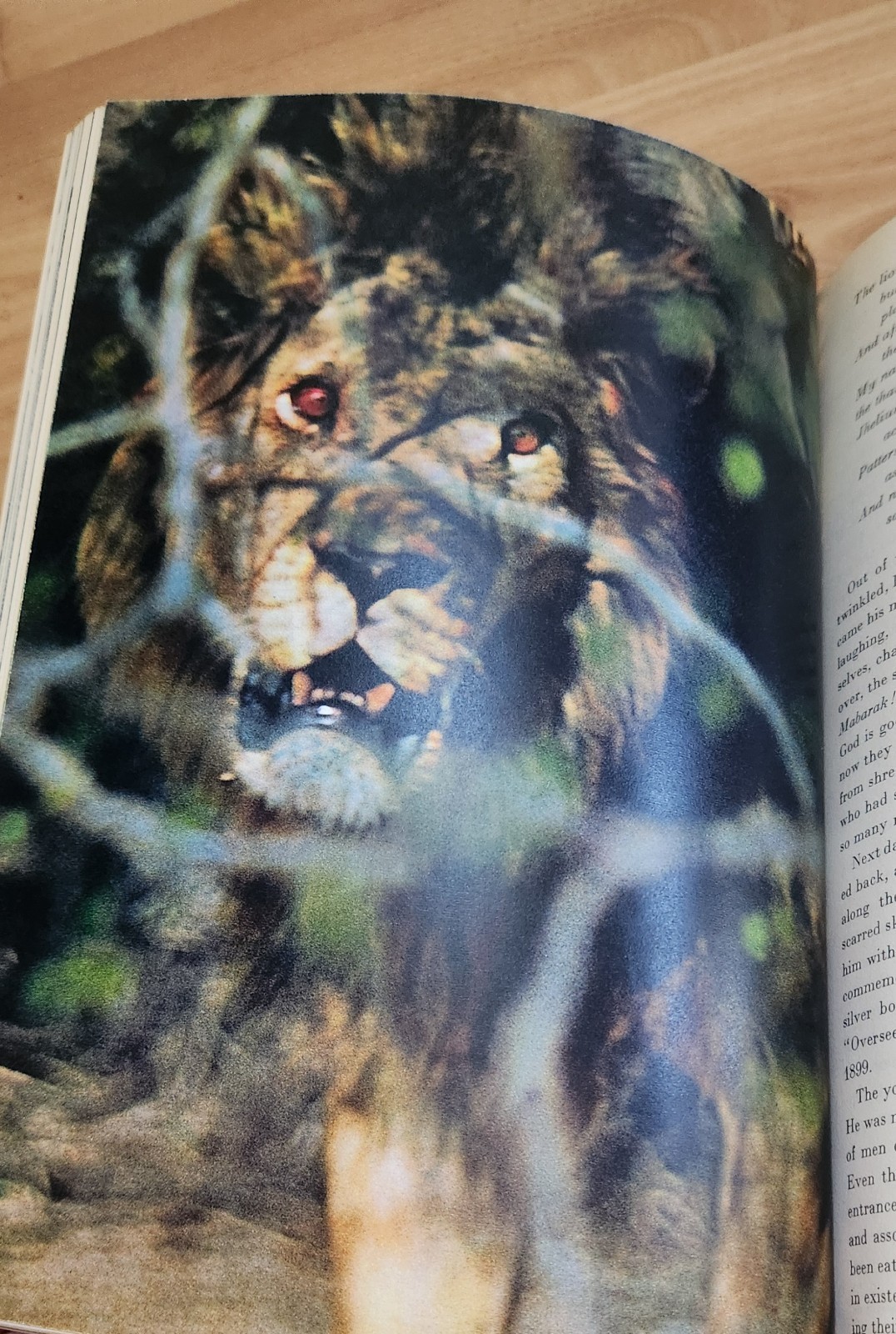 The End of the Game Peter Beard 1st Edition HC Dustjacket ICP Insert Read Detail