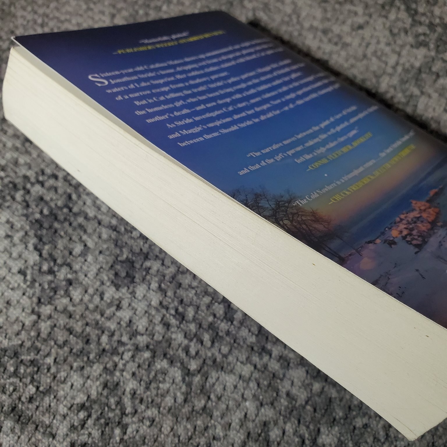 The Cold Nowhere Brian Freeman 2014 Mystery Trade Paperback Book