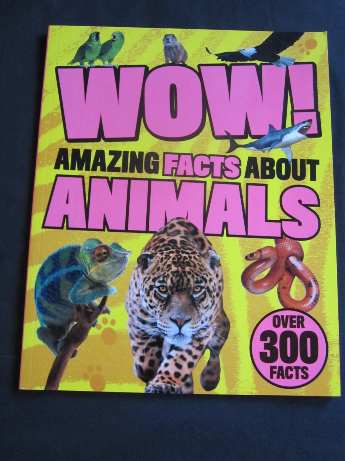 Best Sensational Science Fair Project Book Lot + Wow Facts Animals, Dinosaurs