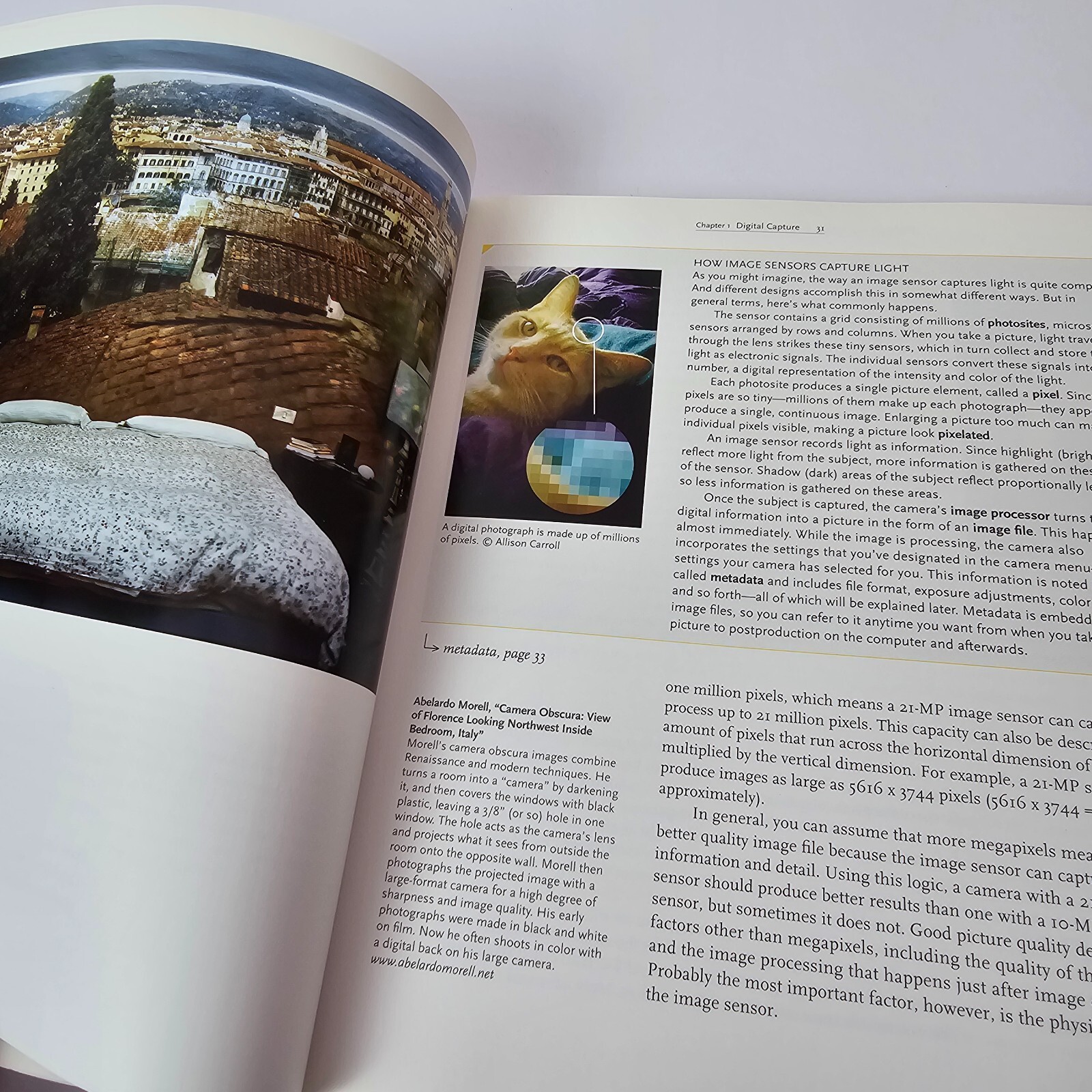 Digital Photography: A Basic Manual by Henry Horenstein