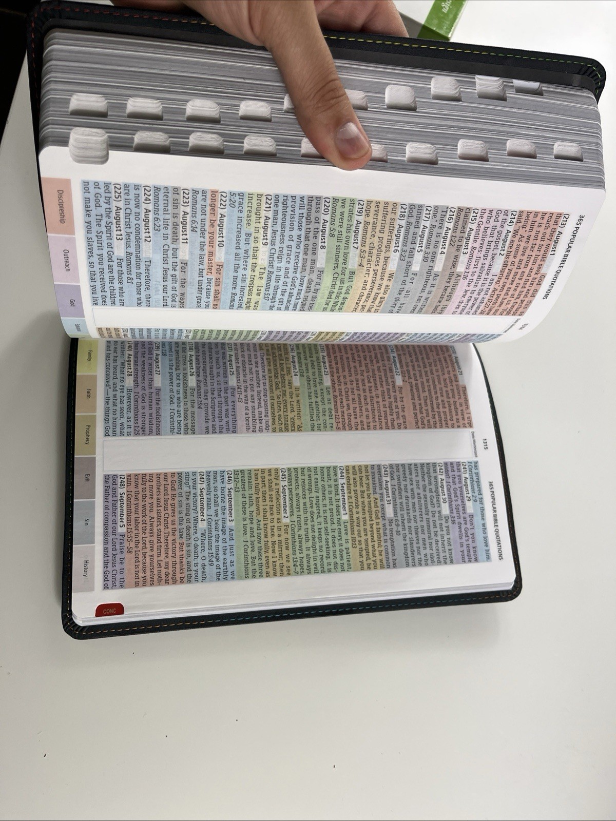 Holman Rainbow Study Bible NIV Edition: LeatherTouch Pierced Cross 2015