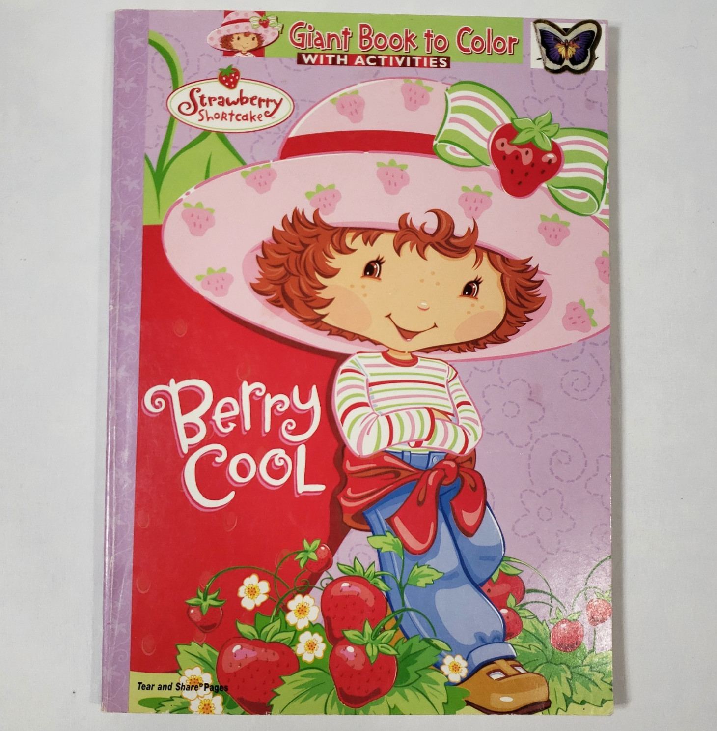 Strawberry Shortcake Coloring Book Dalmatian Press Vintage 2004 USED Berry Cool