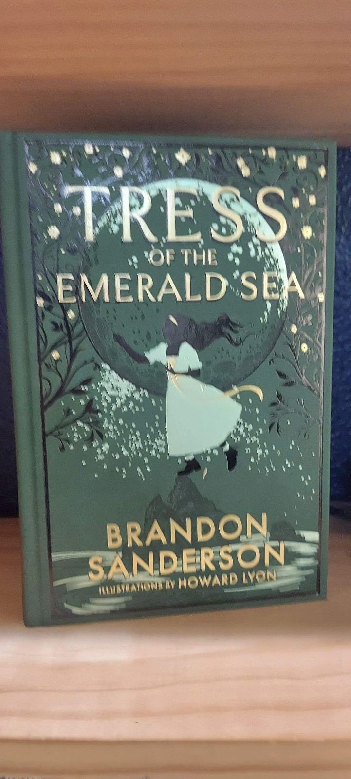 Brandon Sanderson YUMI & THE NIGHTMARE TRESS FRUGAL WIZARD SUNLIT MAN EMBERDARK