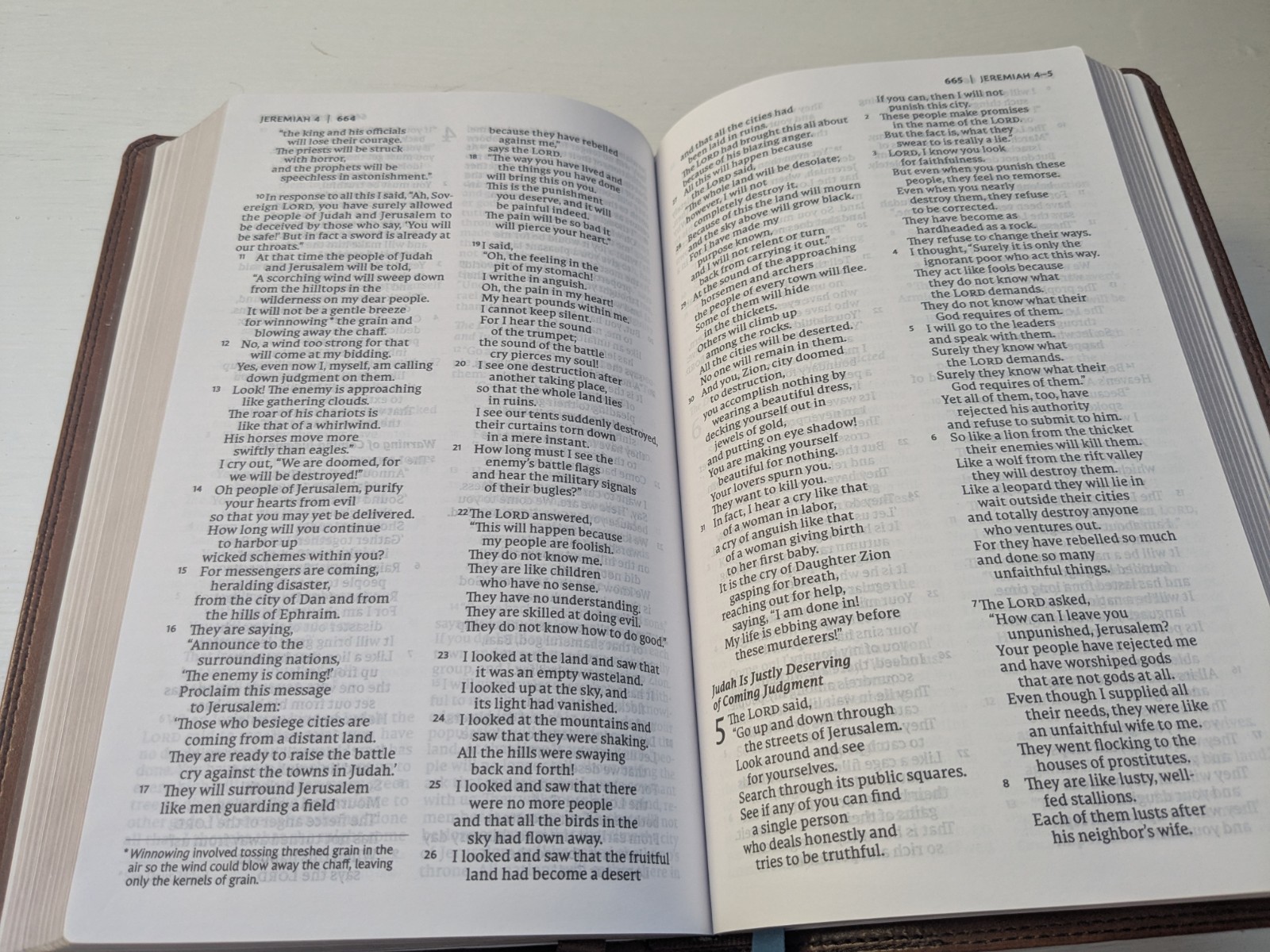 NET Thinline Bible Brown 2019, Imitation Leather Excellent No marks
