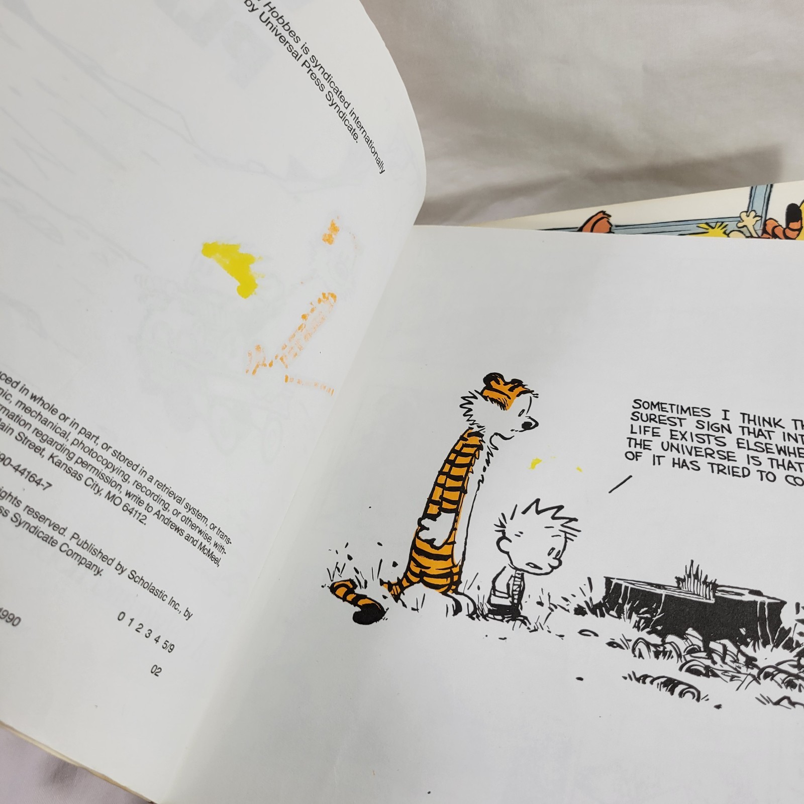 Calvin and Hobbes Book Lot Of 9 Paperbacks By Bill Watterson Cartoons USED