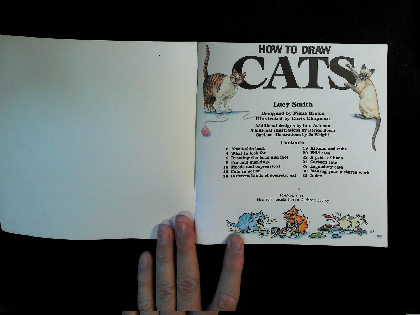How to Draw Cats Lucy Smith Paperback Art Instruction