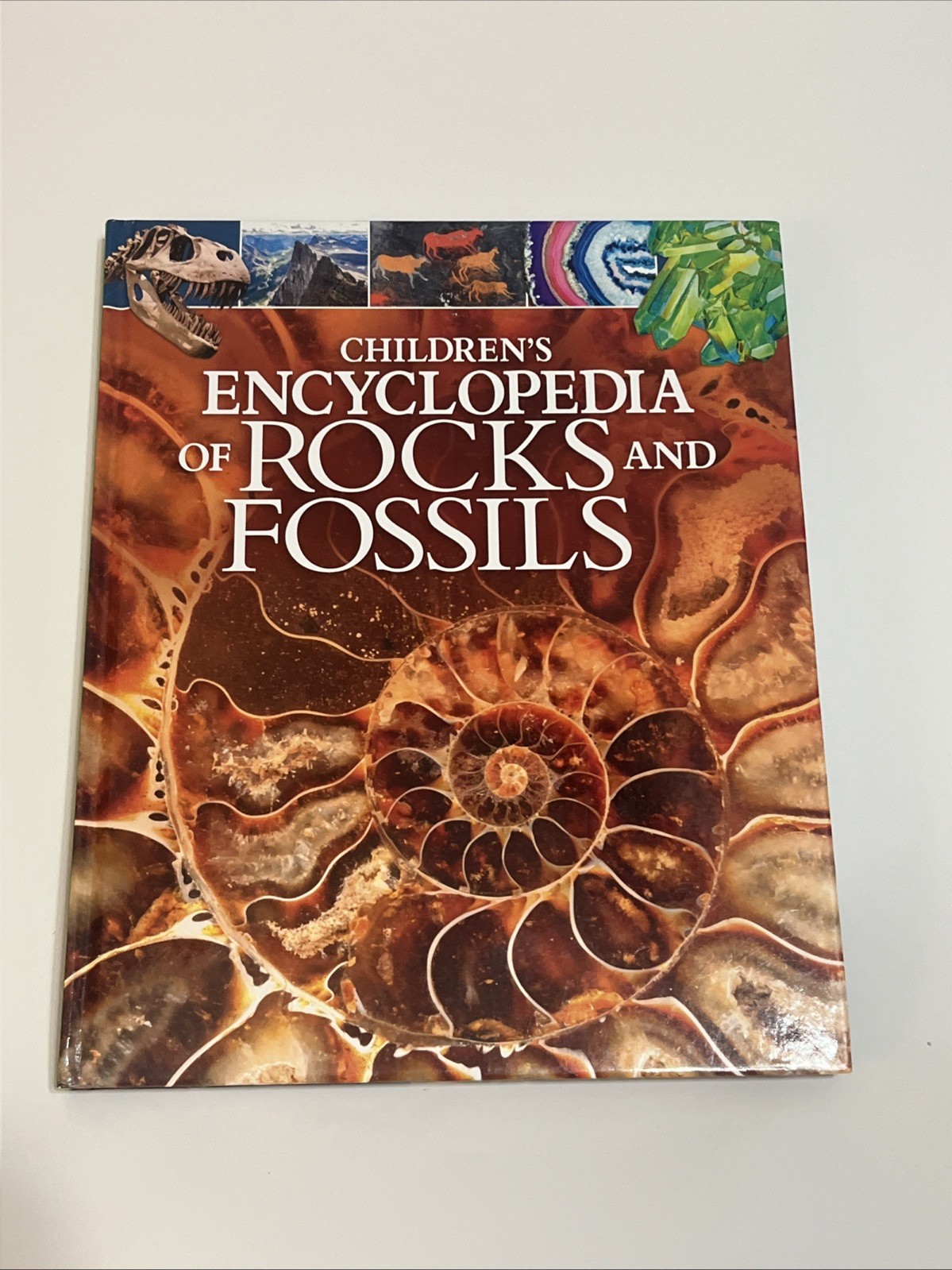 Children’s Encyclopedia of Rocks and Fossils by Claudia Martin (2019, Hardcover)