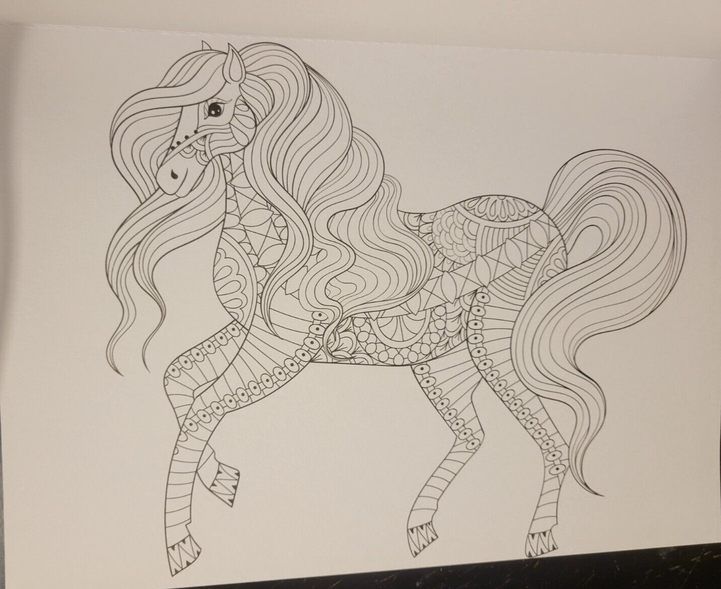 MAJESTIC CREATURES Vol 13 Adult Coloring Book With 47 Prints Ready To Frame