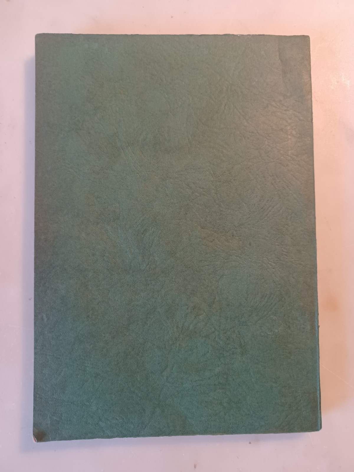 Voices From Beyond The Vale 1928 Antique Spiritualist Afterlife Occult Book Rare