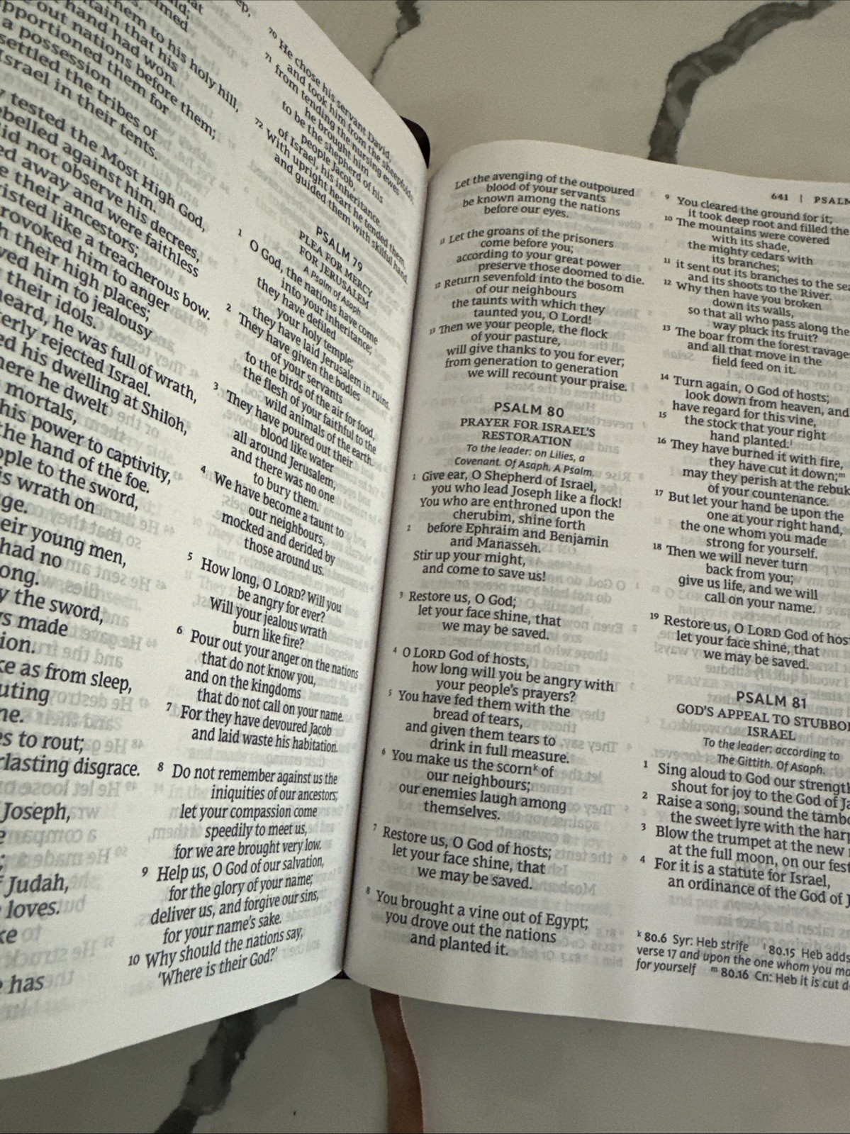 NRSV Large Print Imitation Leather by Catholic Bible Press Edition Black