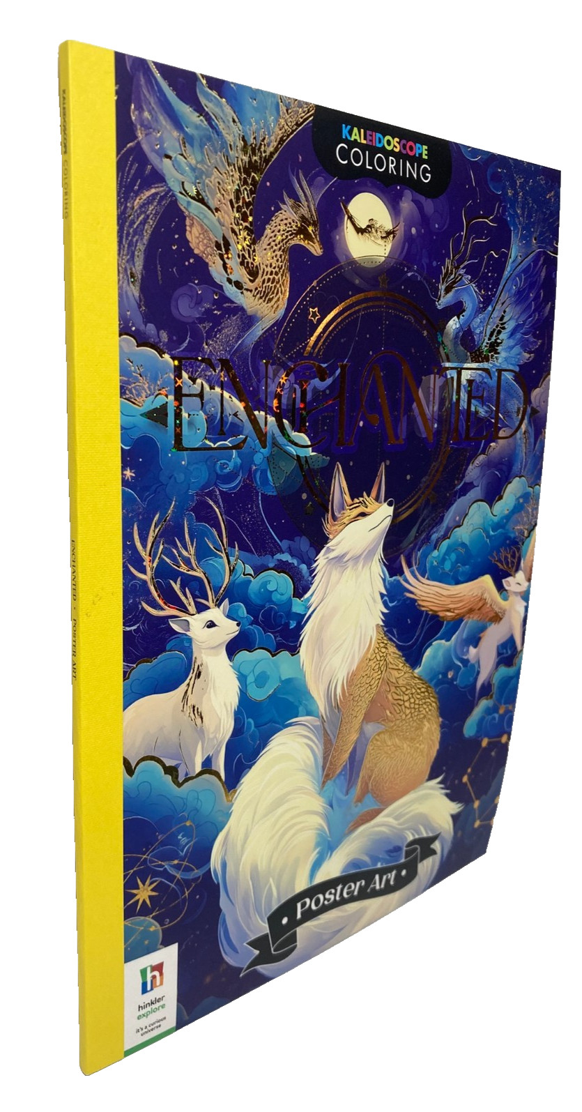 ENCHANTED Coloring Book Poster Art 20 pages
