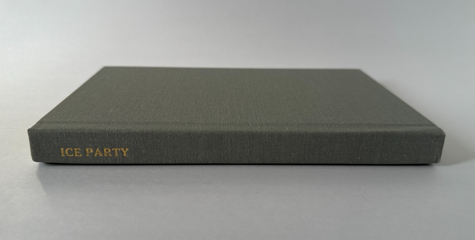 SUMEET BANERJI Ice Party: A Novel | 2015 Mushroom Books First Edition Hardcover