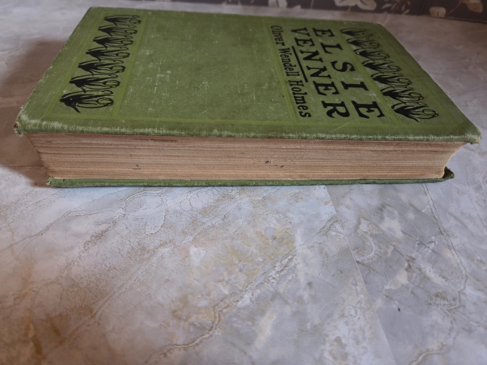 Elsie Venner by Oliver Wendell Holmes – Grosset & Dunlap 1883 – hardcover