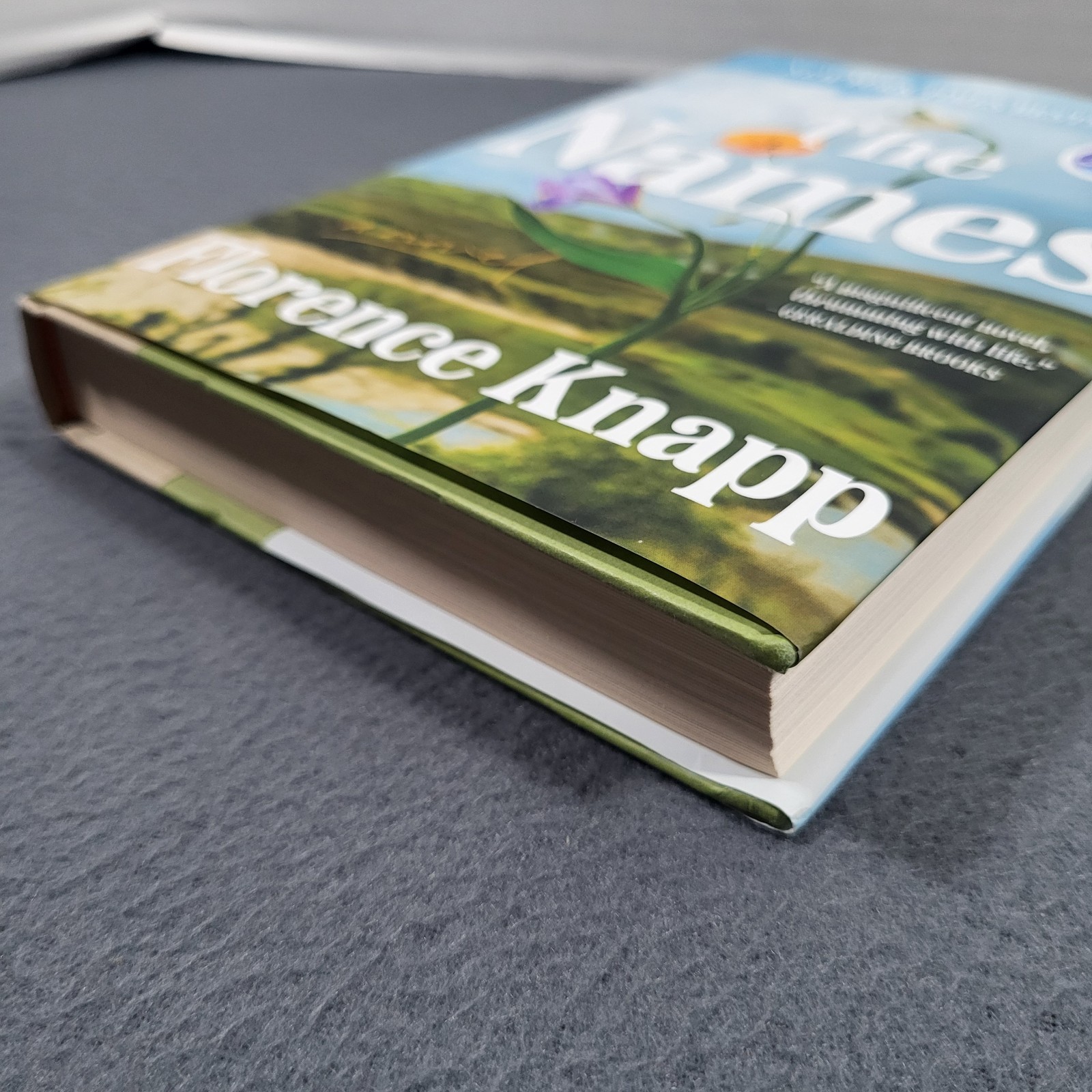 The Names Florence Knapp Hardcover Novel 2025 Feminist Literary Fiction VG