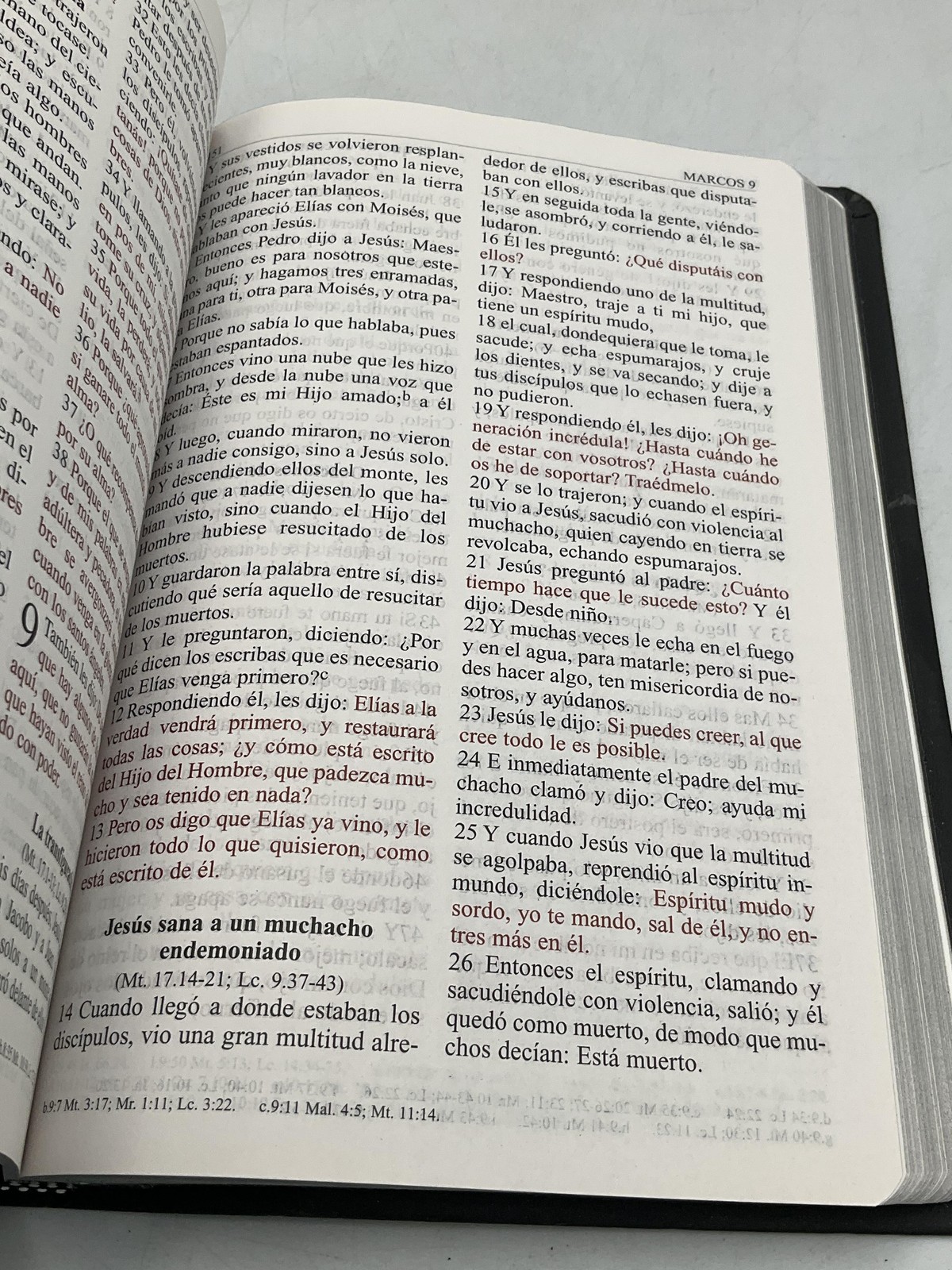 Santa Biblia Grupo Nelson RVR 1960 Black 2006 USA Spanish softcover, good