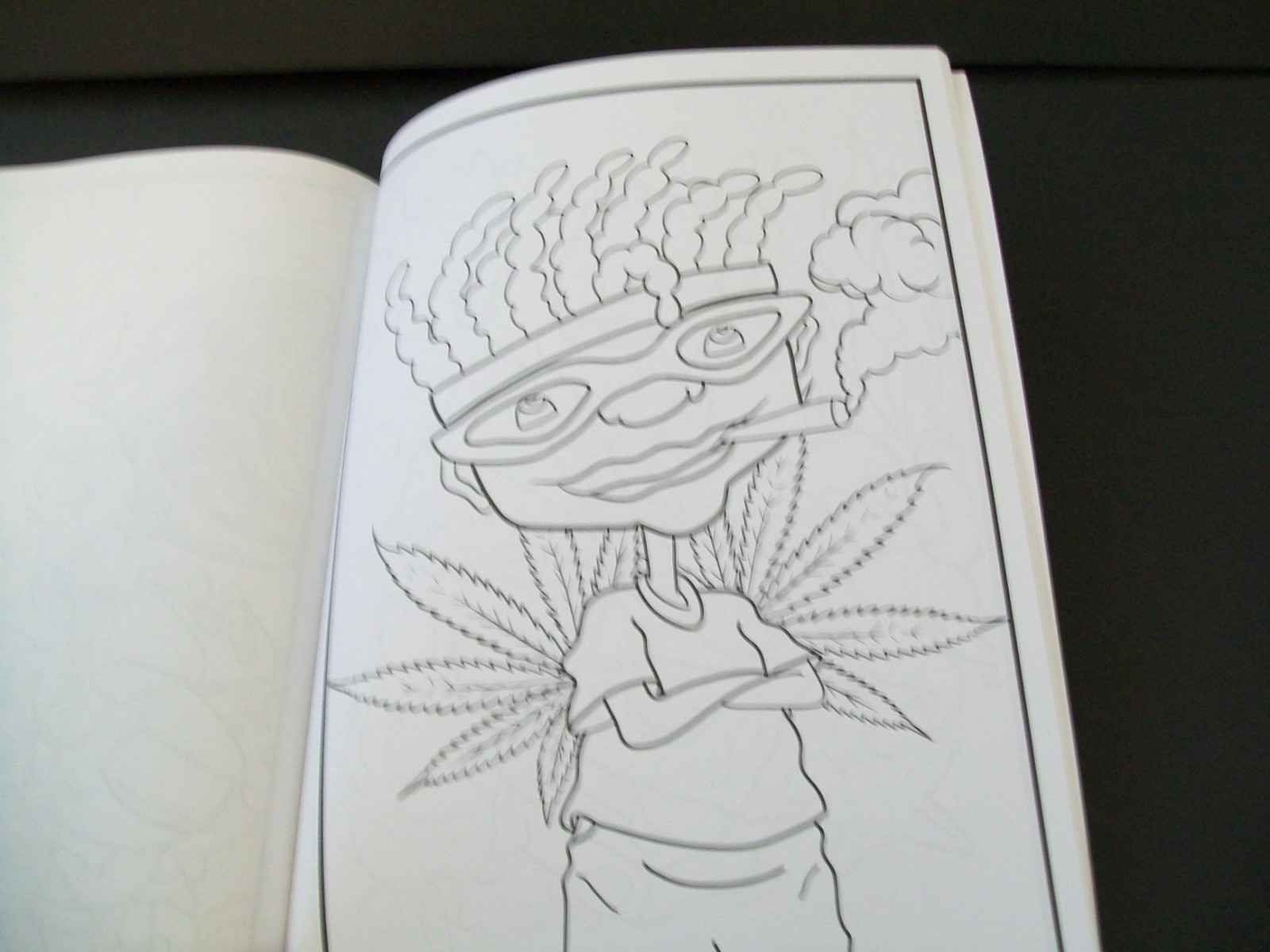 90’s Cartoon Stoner ADULT Coloring Book Paperback Made in USA 2023