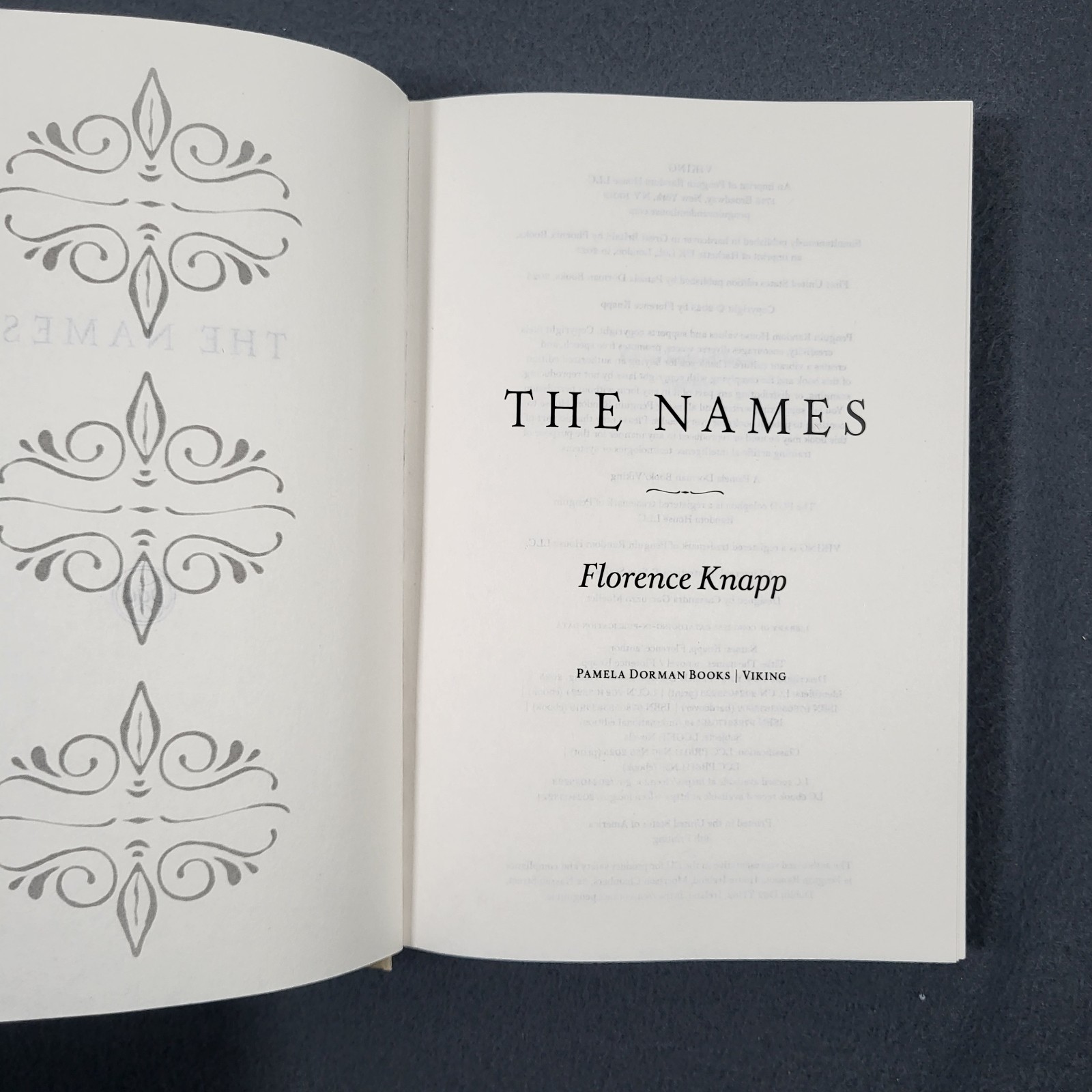 The Names Florence Knapp Hardcover Novel 2025 Feminist Literary Fiction VG