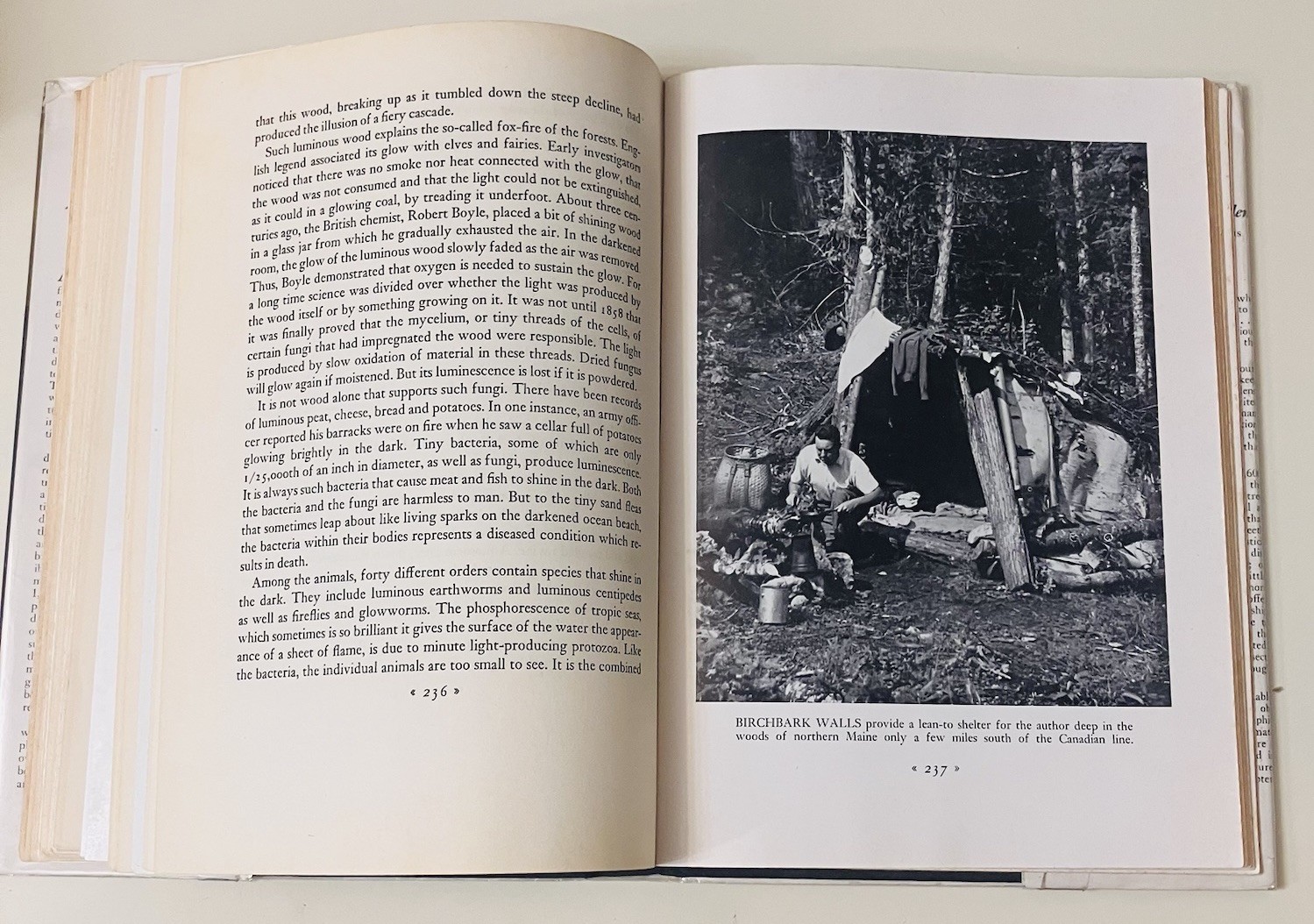 The Lost Woods – Edwin Way Teale – 1945 HC 1st Ed w/ Dust Jacket
