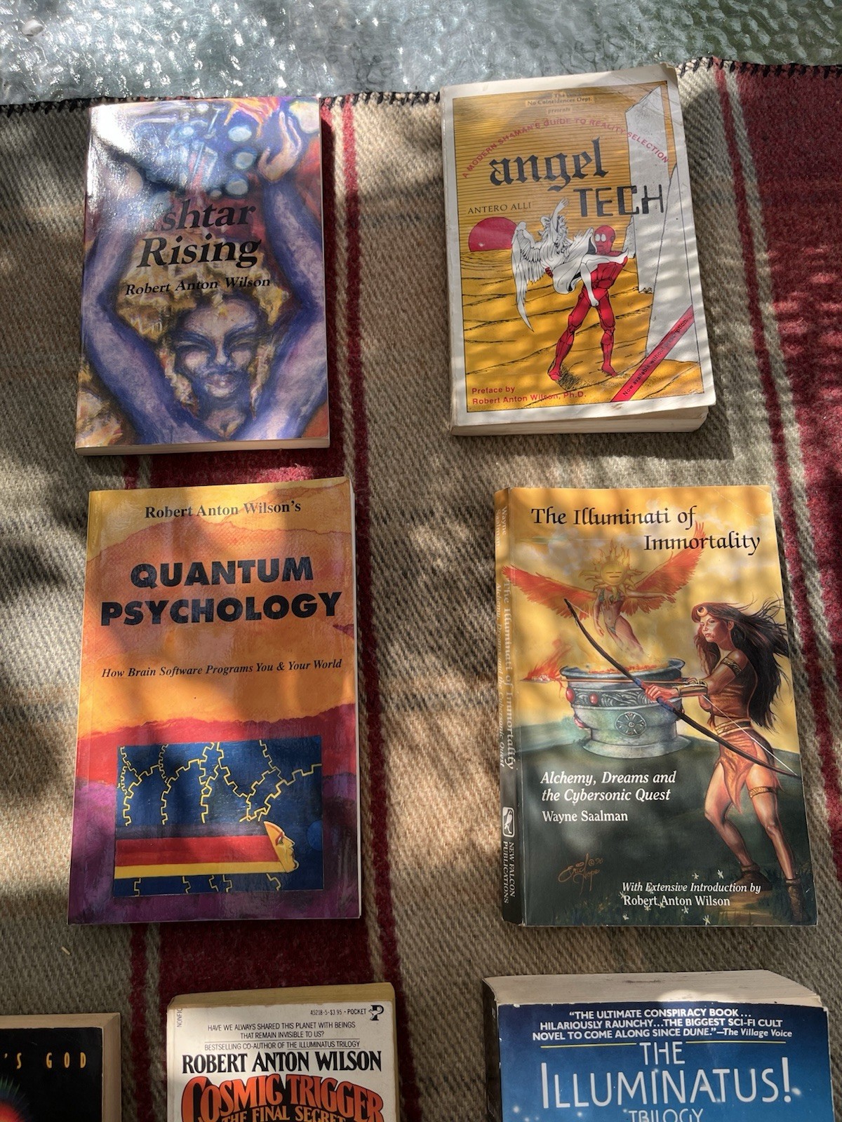 Robert Anton Wilson Book Lot