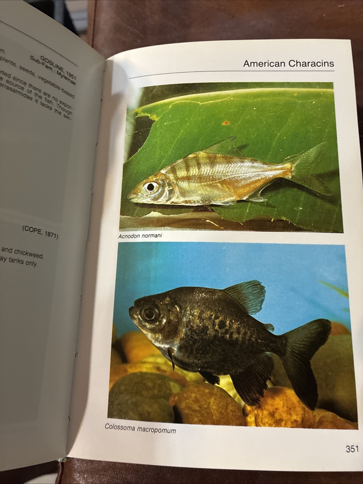 Aquarium Atlas Hardcover – Rudiger Riehl & Hans A. Baensch Fish Plants 992 pg