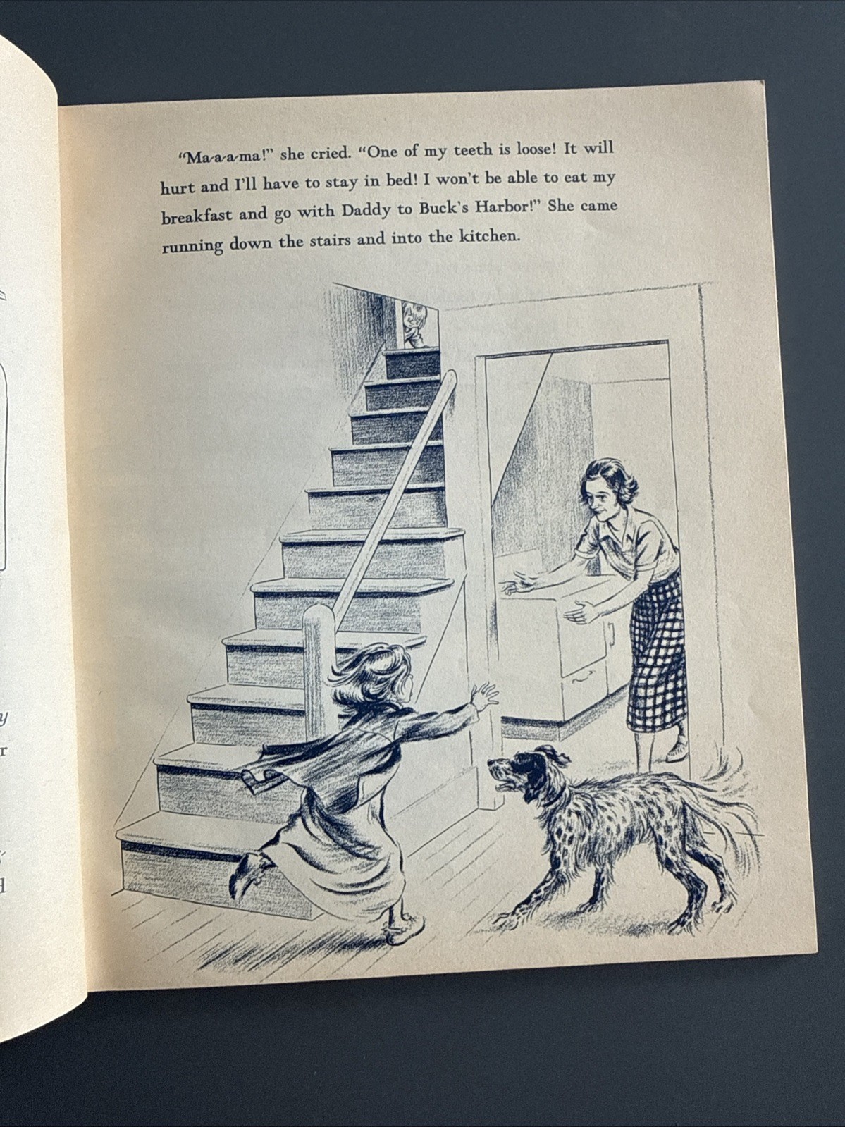 One Morning In Maine – Robert McCloskey