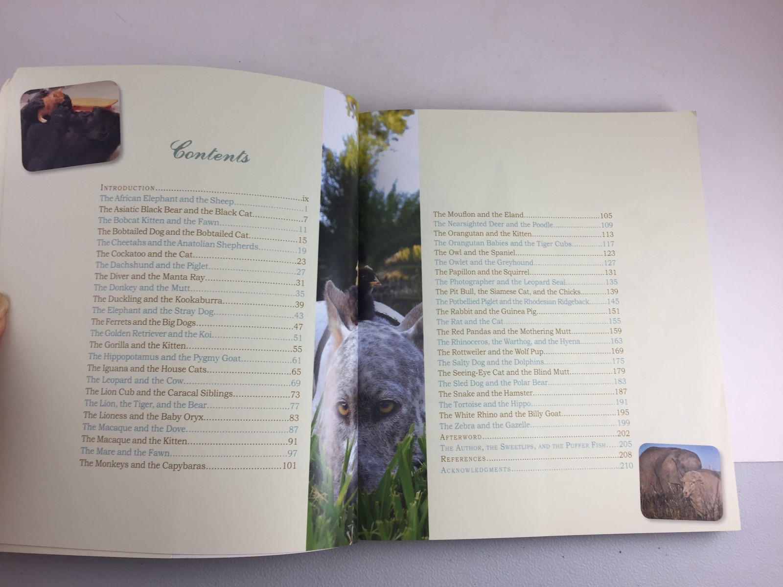 UNLIKELY FRIENDSHIPS BY JENNIFER S. HOLLAND 47 STORIES FROM THE ANIMAL KINGDOM