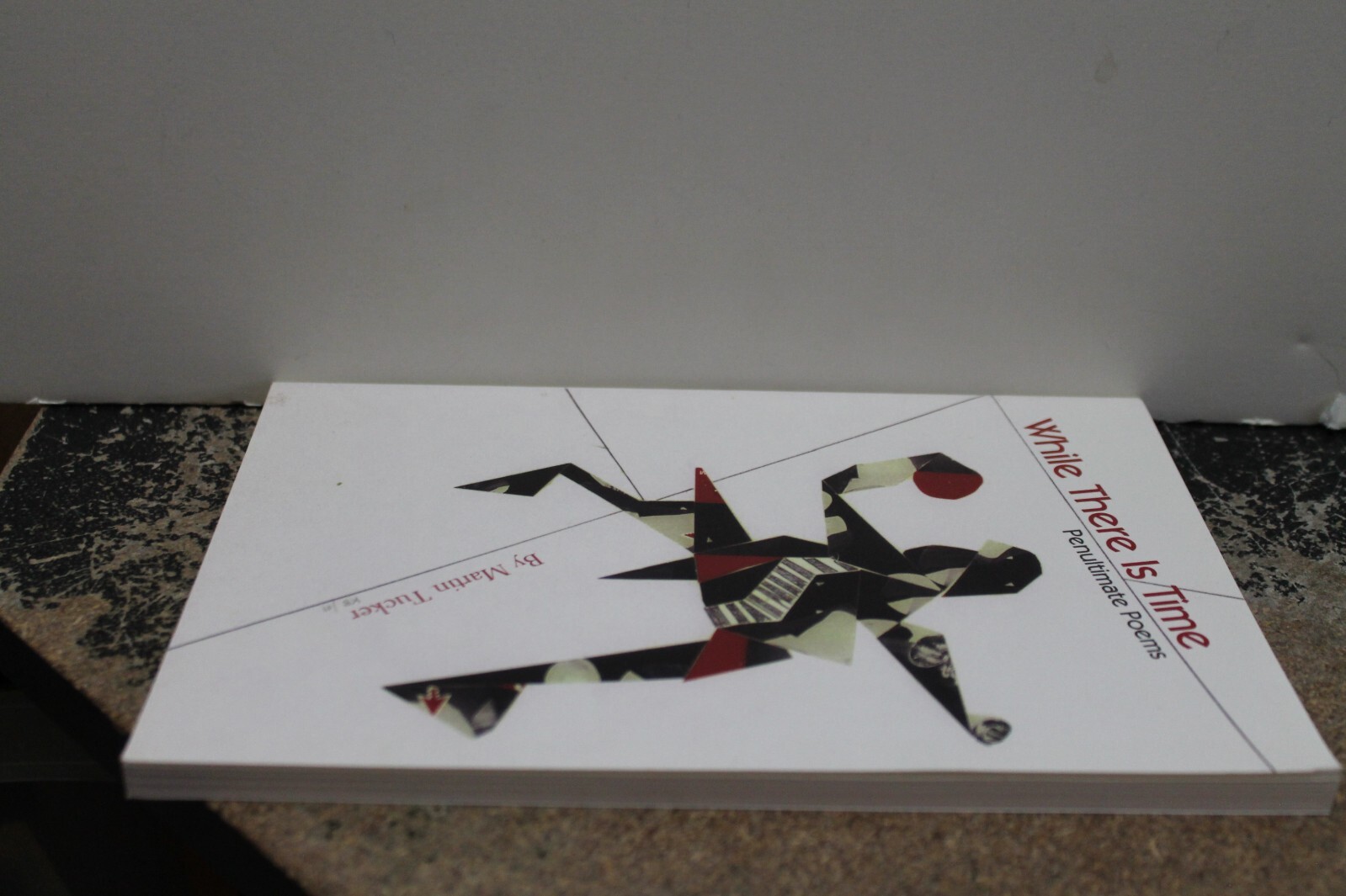 WHILE THERE IS TIME: penultimate poems by Martin Tucker NEW