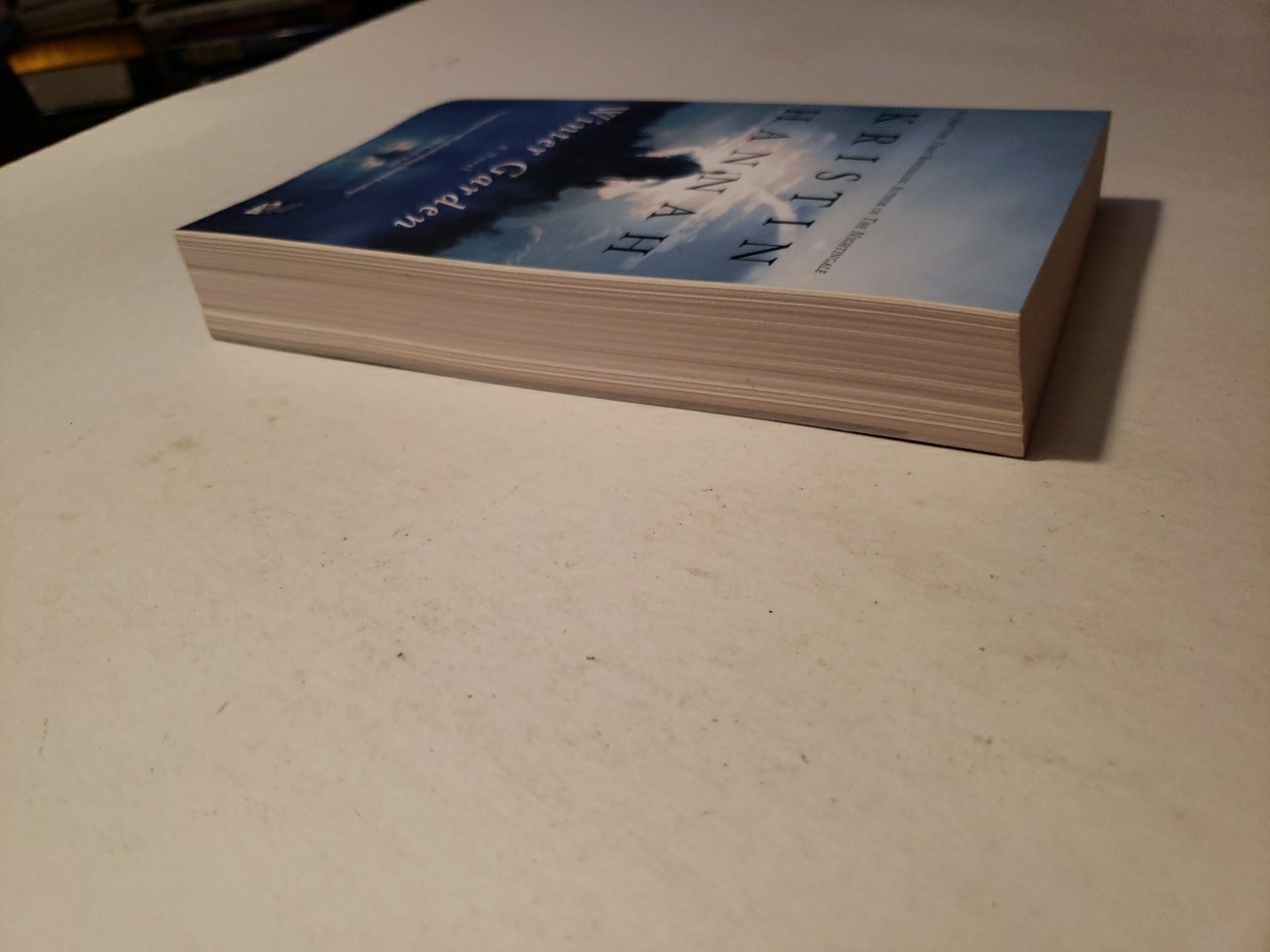 Winter Garden : A Novel by Kristin Hannah (2011, Trade Paperback)