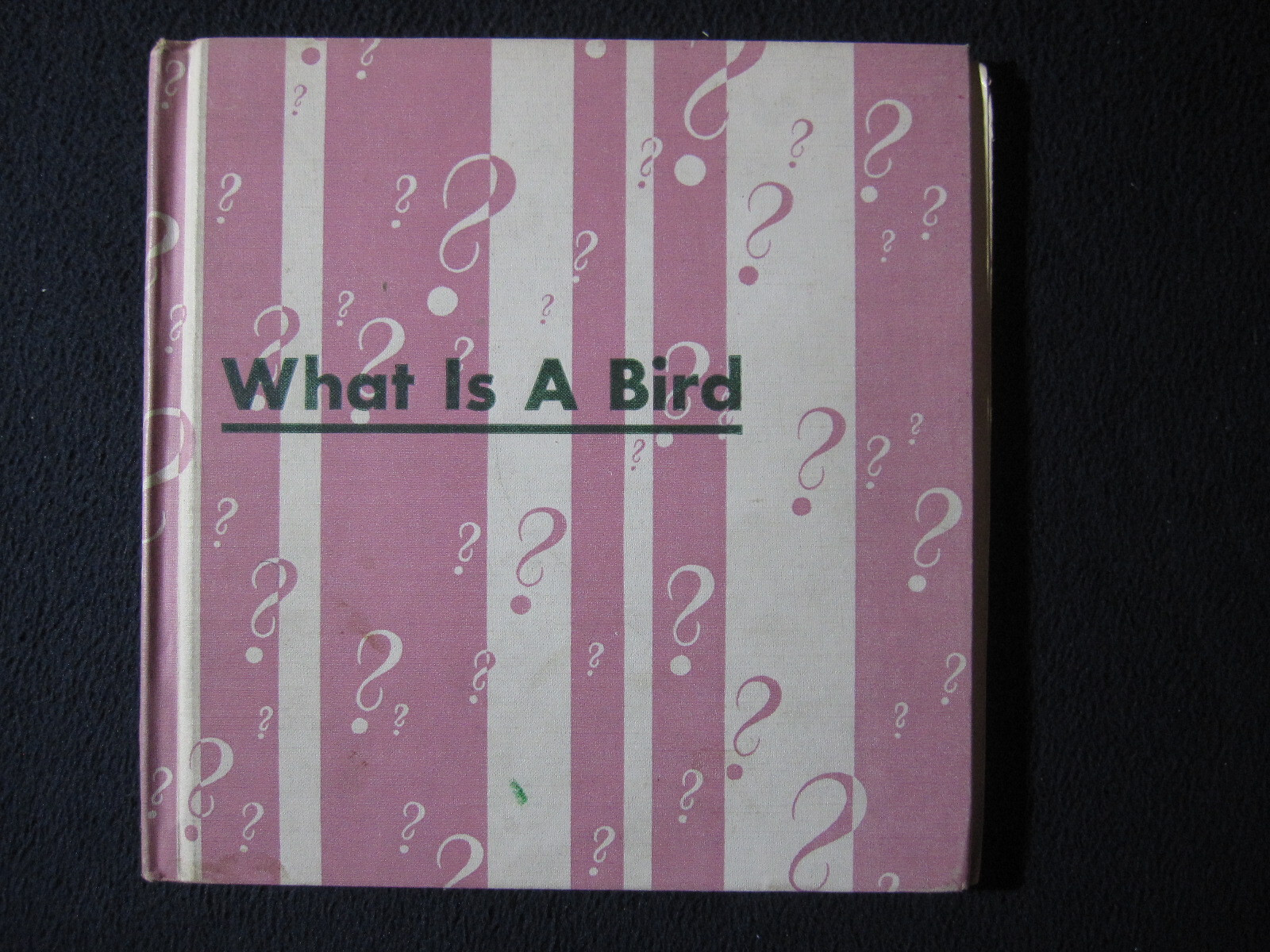 What is a Bird (The What is it series) Darby, Gene