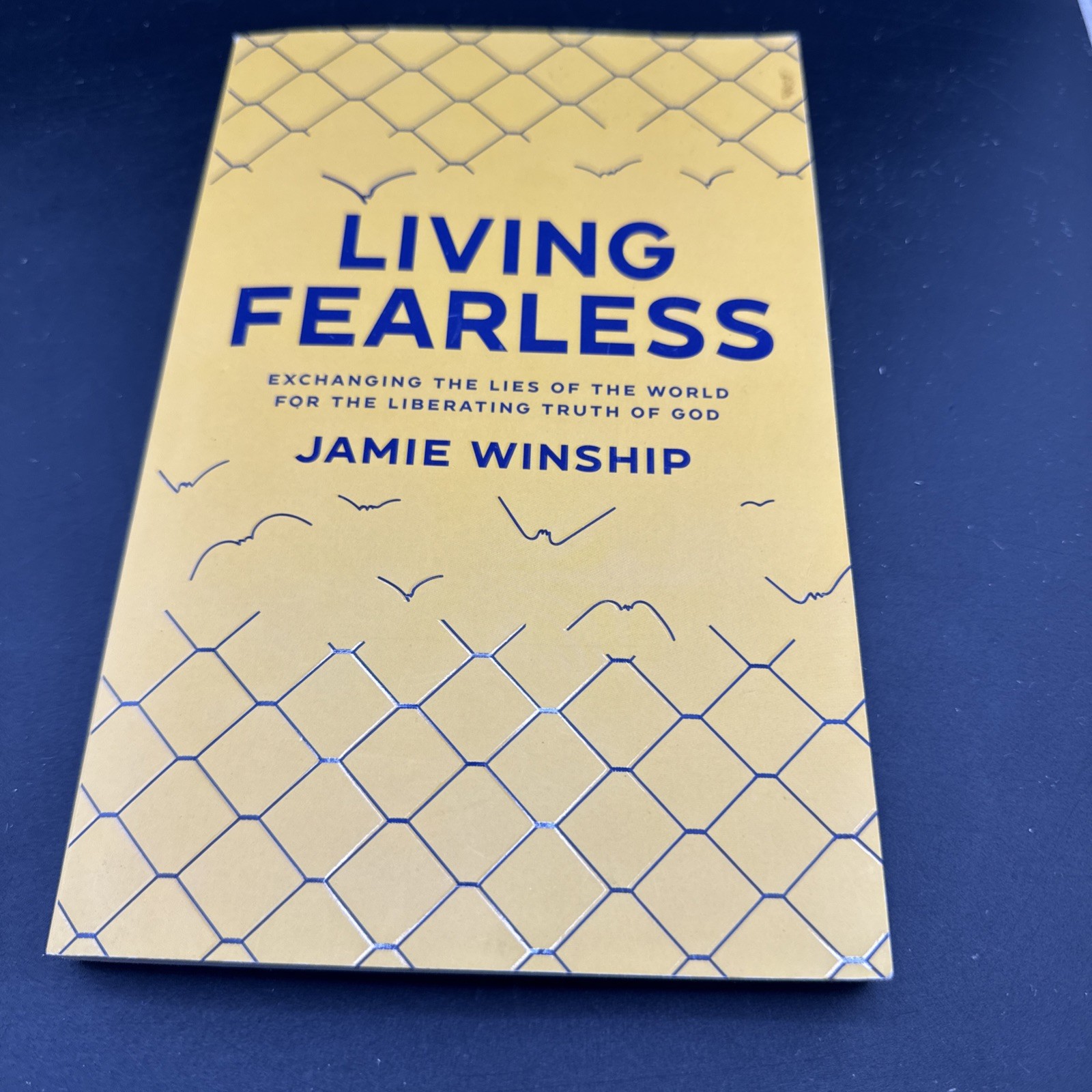 Living Fearless Jamie Winship (2022) Trade Paperback | Christian Growth & Faith