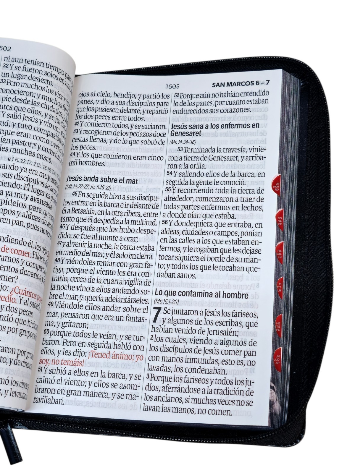Biblia Letra Súper Gigante 19 punto RV1960 negro león De La Tribu Juda Cierre