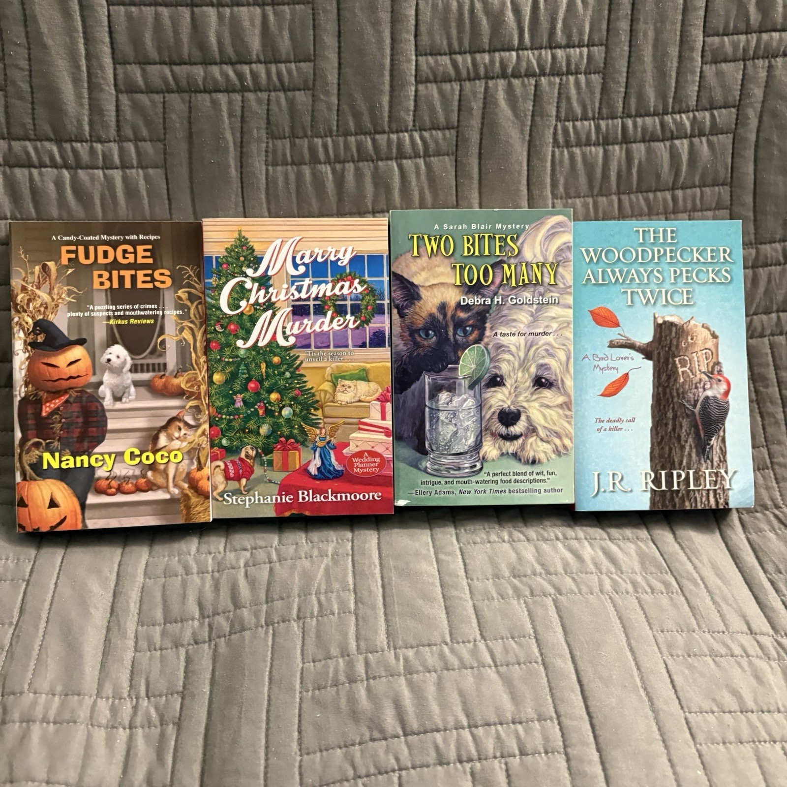 Cozy Mysteries Paperback lot of 20 Books – Mixed Authors