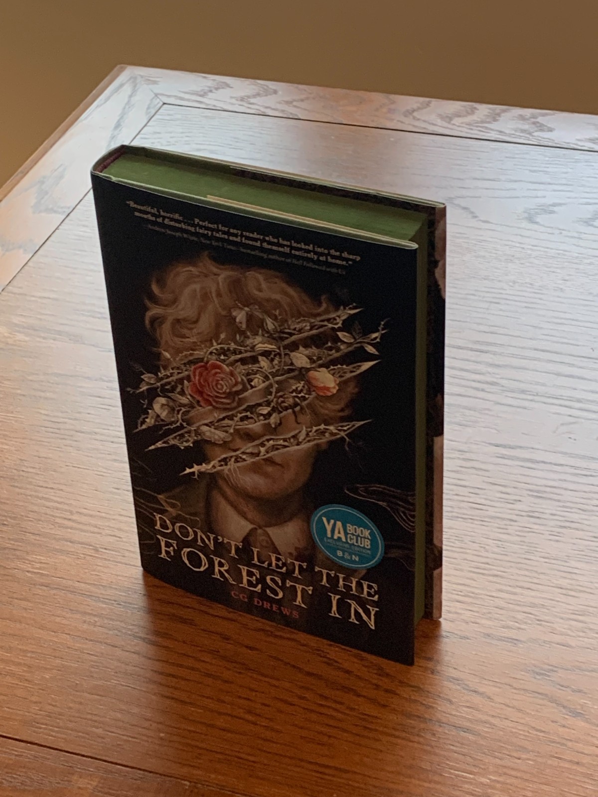 Don’t Let the Forest In by CG Drews Hardcover SPRAYED EDGES DELUXE B&N Barnes