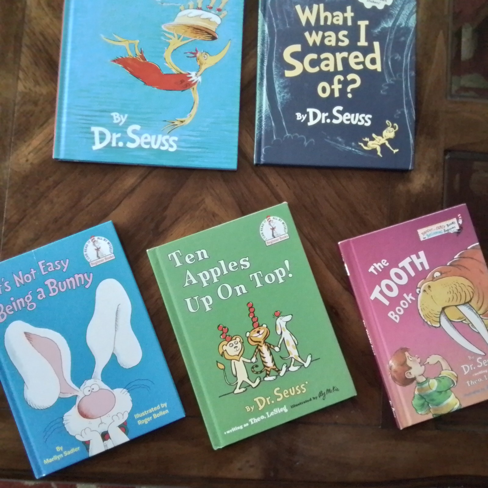 Dr Seuss Hardcover Books Lot (5)