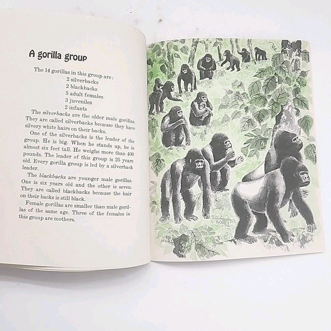 Great Gorillas by Ann McGovern FIRST EDITION 1980 Paperback Book